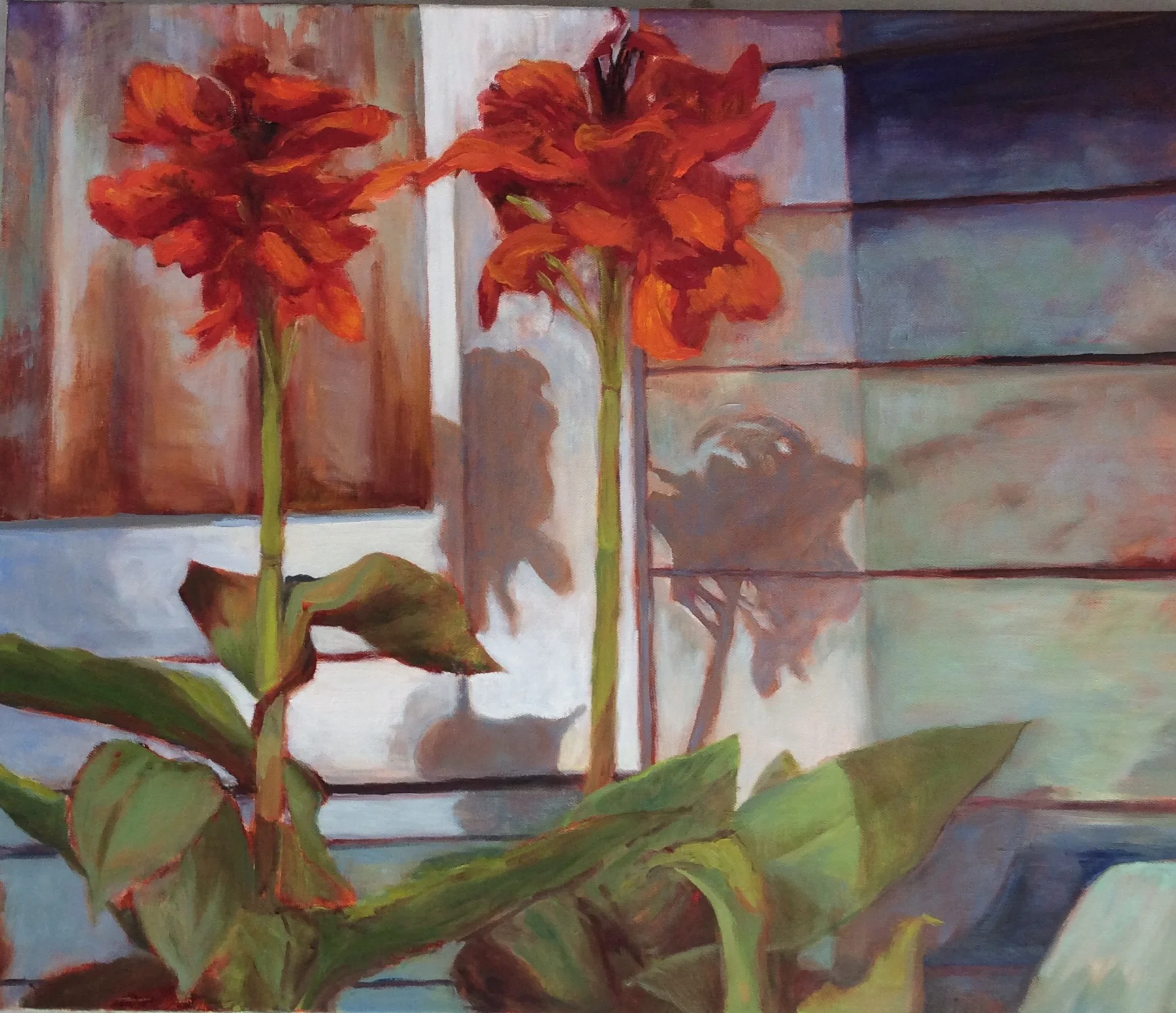 AMARYLLIS IN NEW ORLEANS