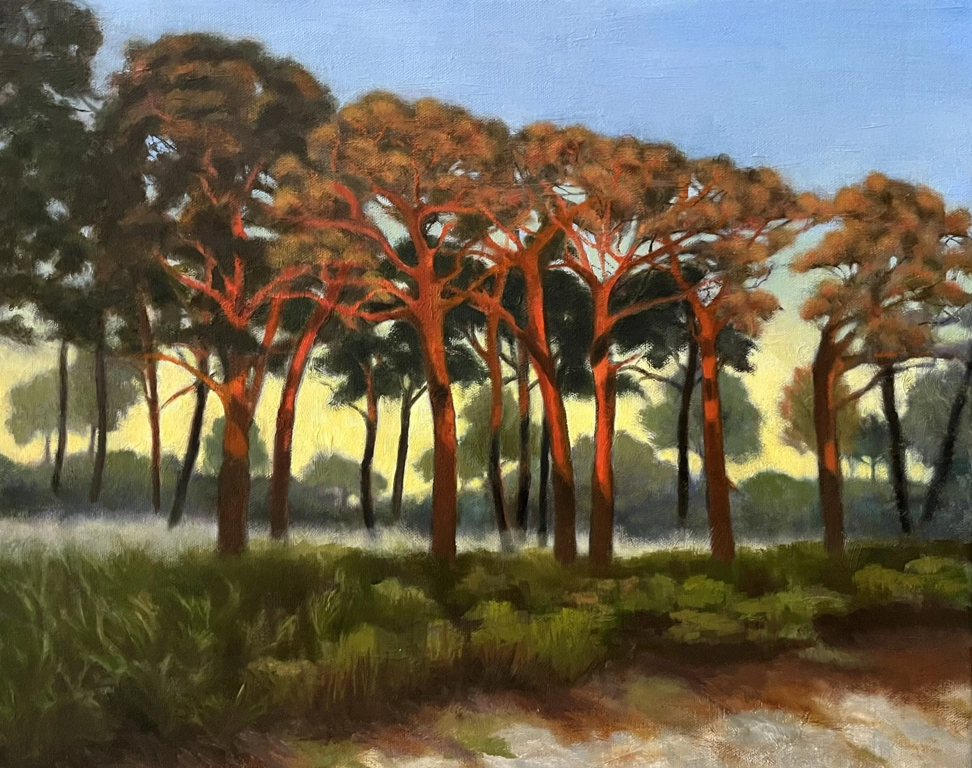 SUNRISE WALK AT BOYD HILL