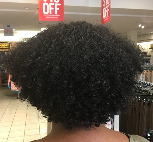 my natural hair journey — the curlie cook