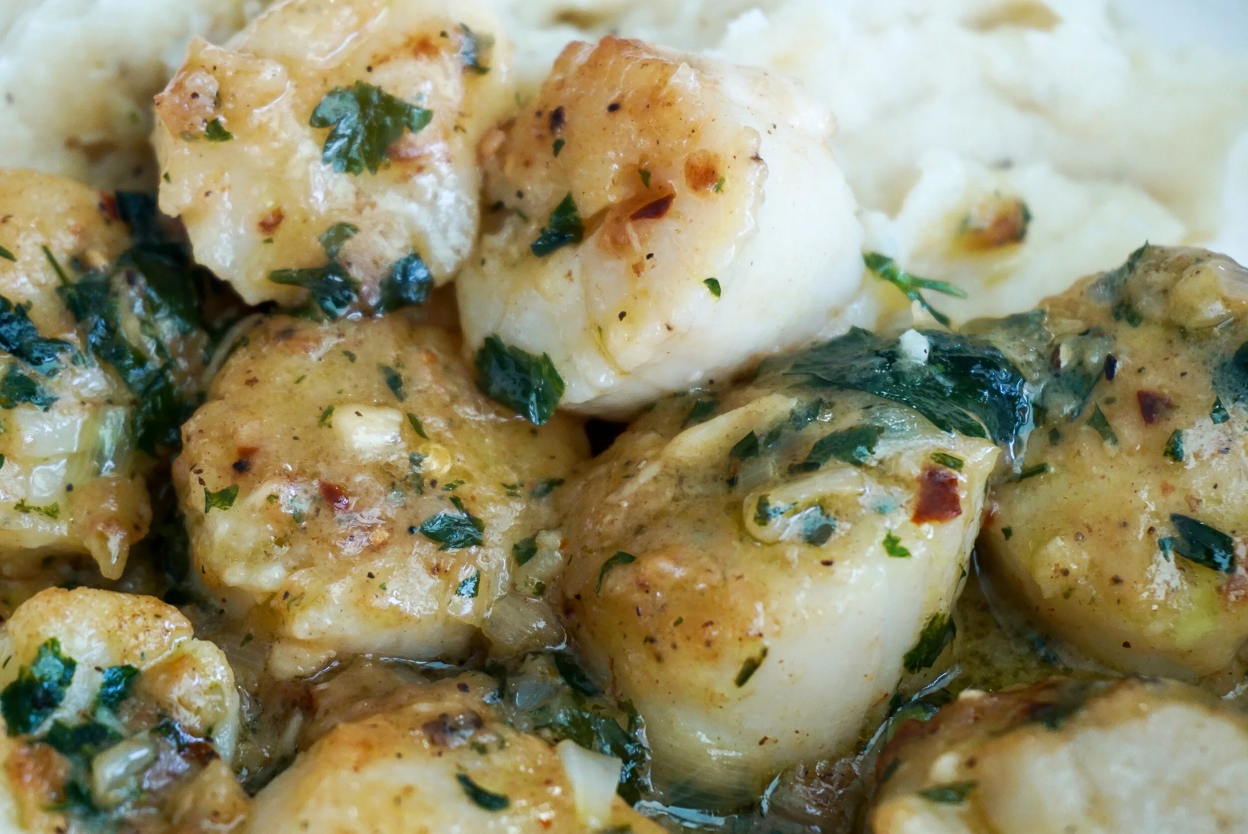scallops provencal 