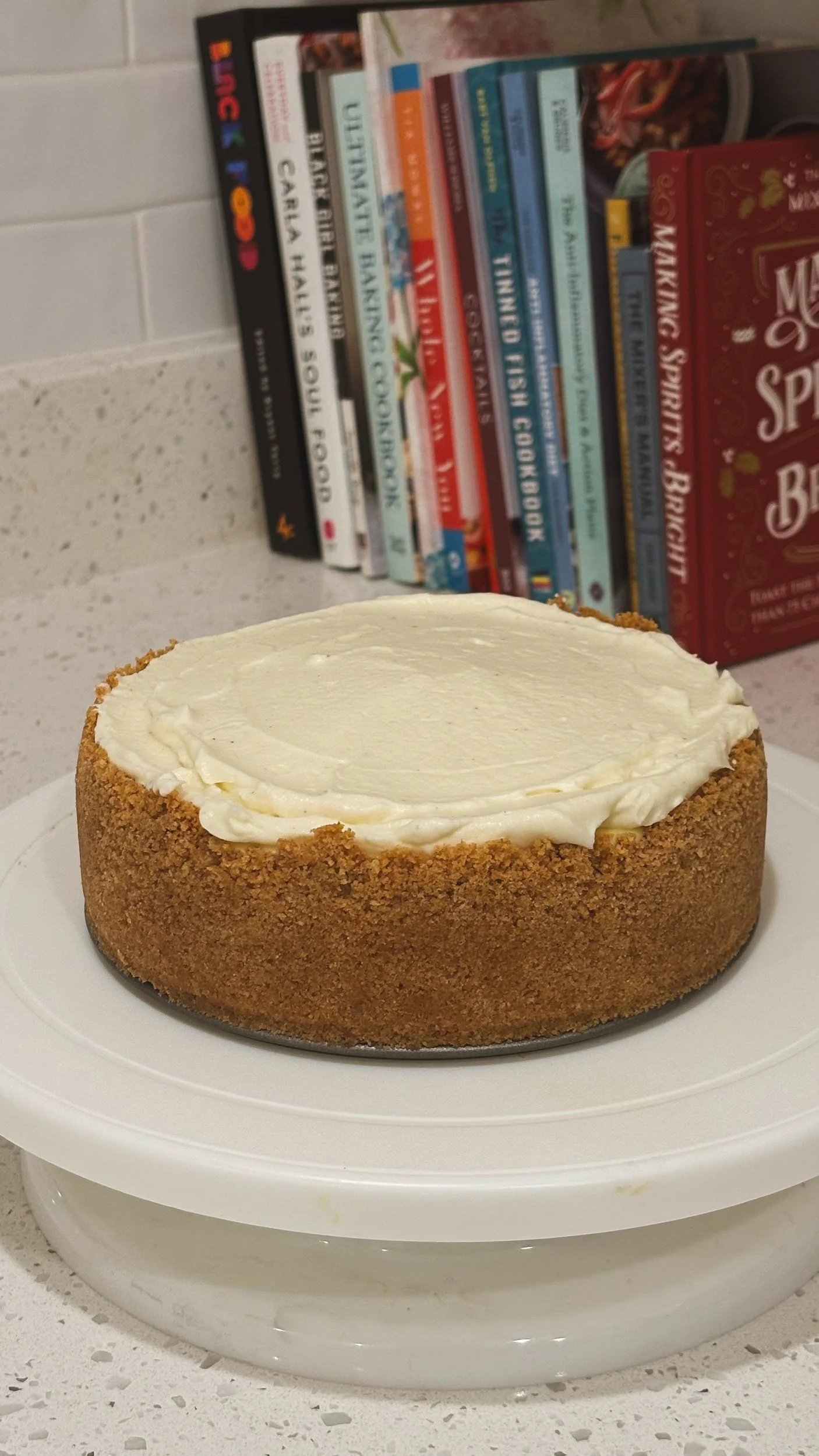 mini vanilla bean cheesecake w/ chantilly cream