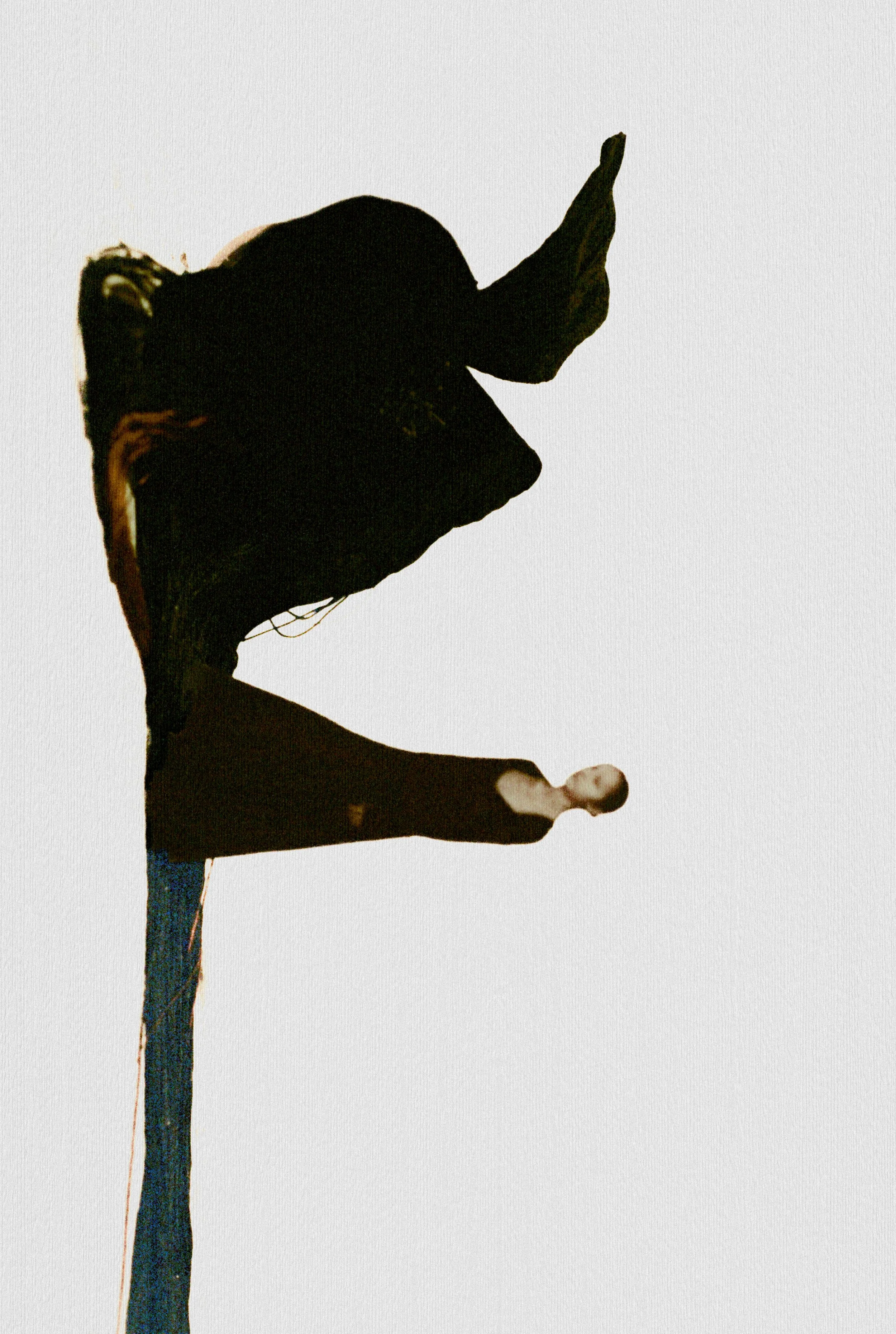 20231028-000047.JPG