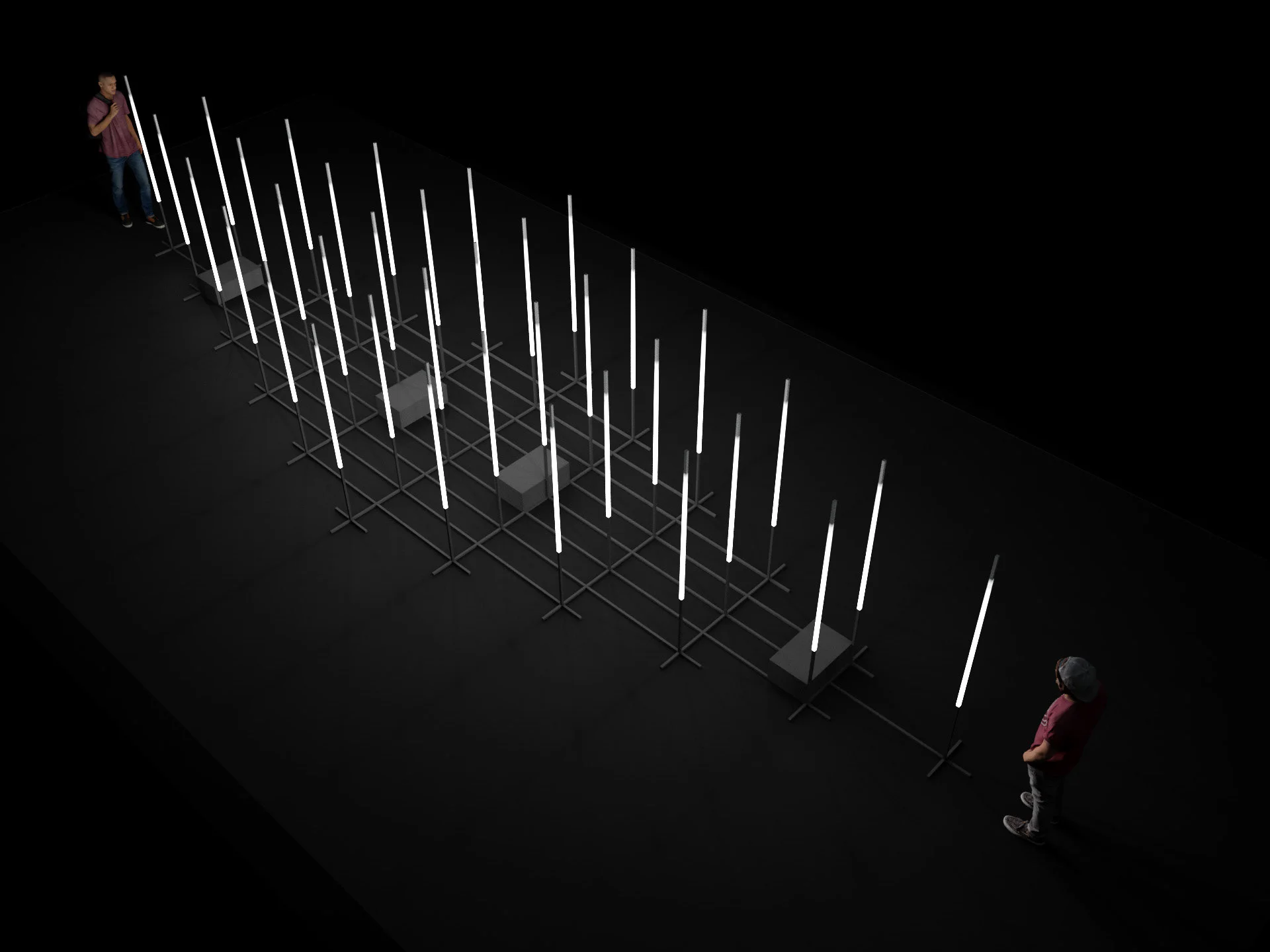 ViVid (1).jpg