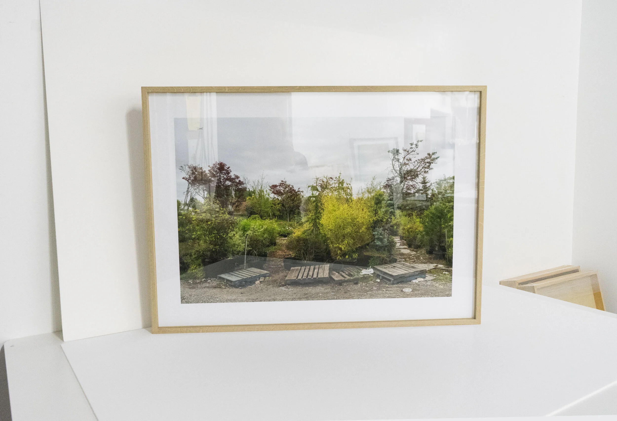 Example-FramedPhotograph.jpg
