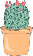 lil.png