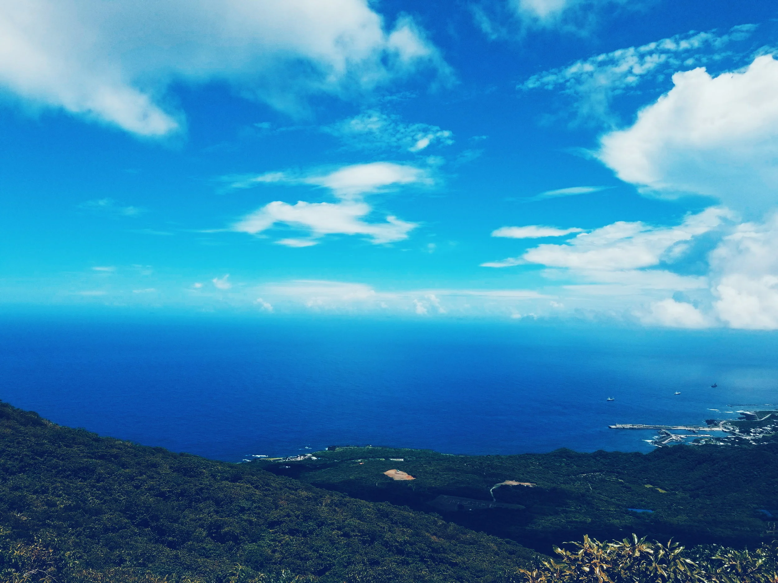 2019-01-15 05.46.02 2.jpg