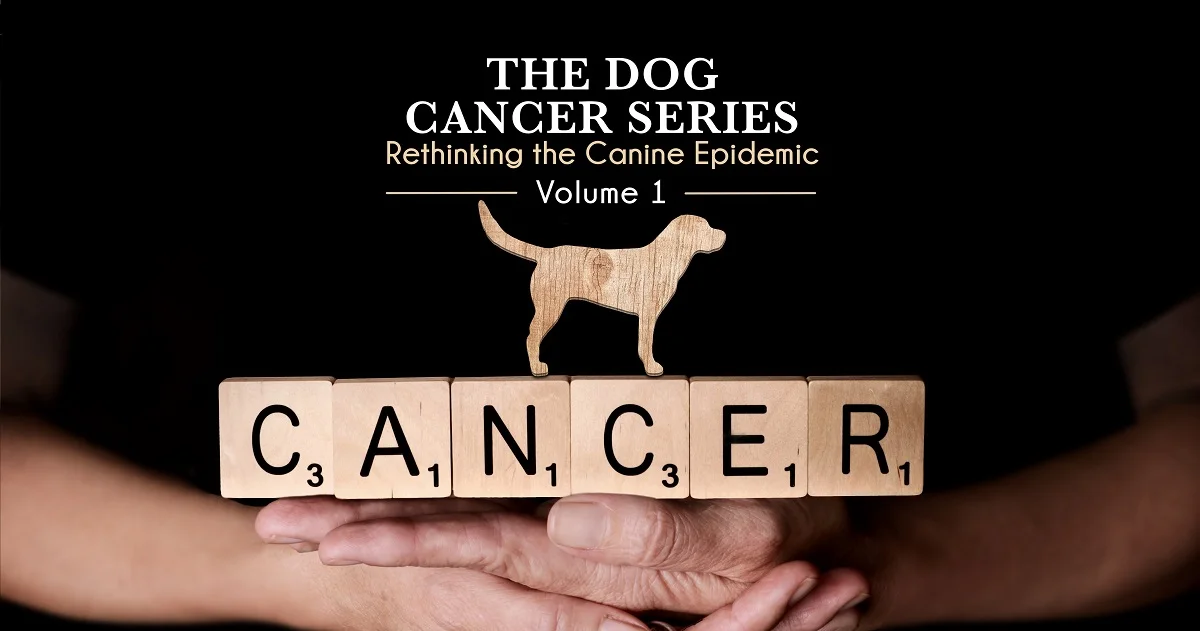 dog-cancer.jpg
