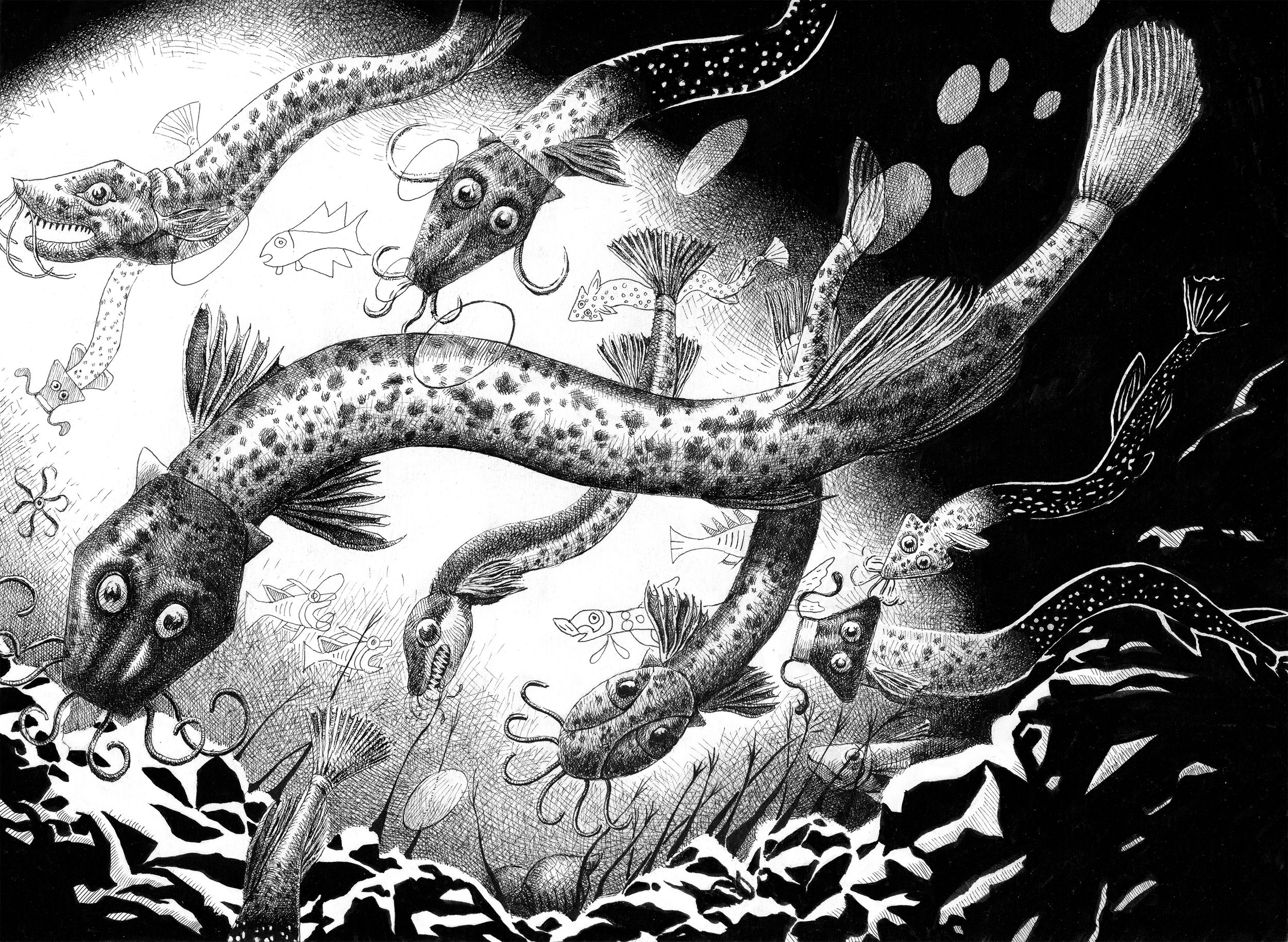 MOCHE SEALIFE WEB.png