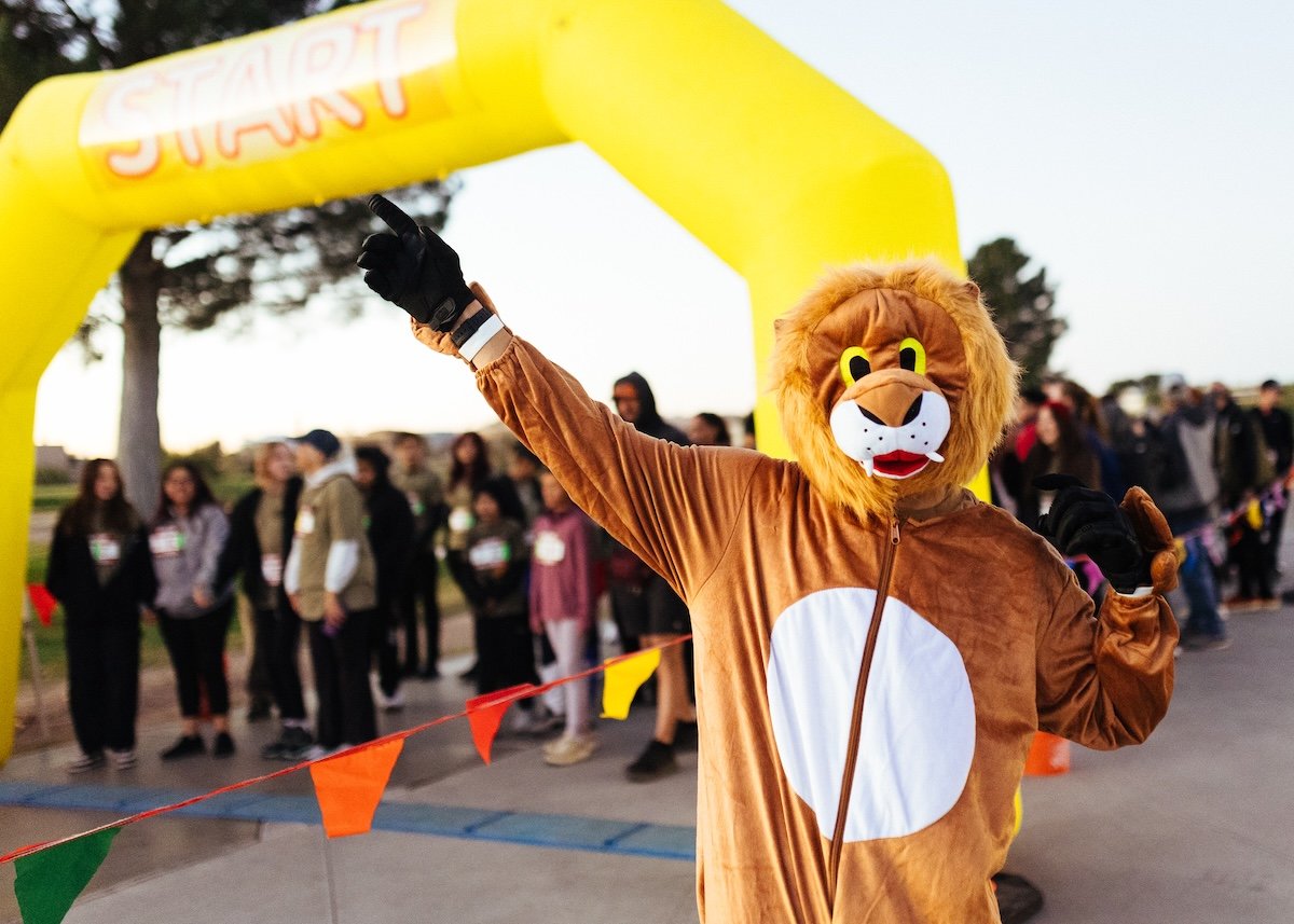 Roar Run 3