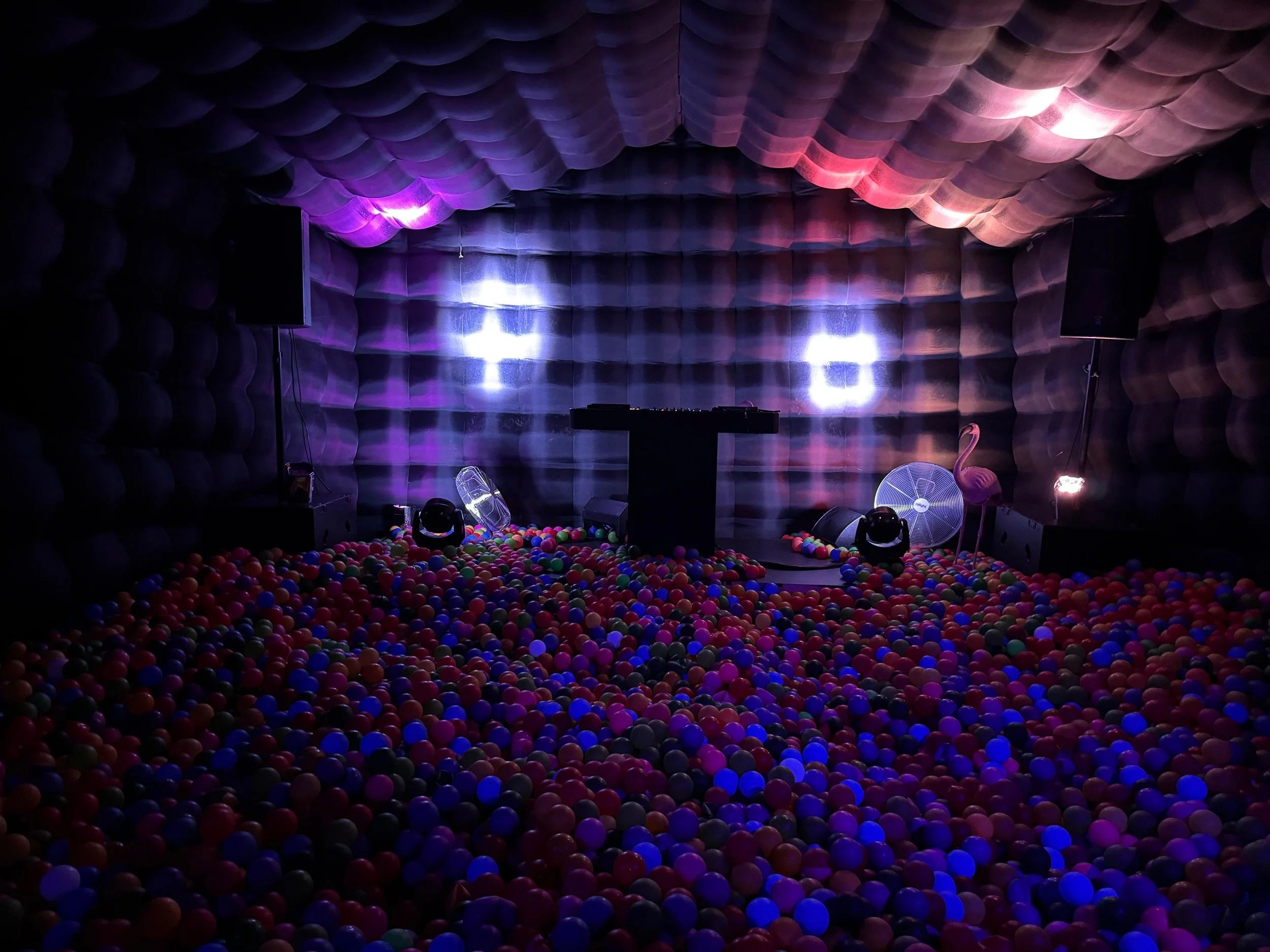 WhatsApp Image 2026-02-17 at 13.31.01 (1).jpeg