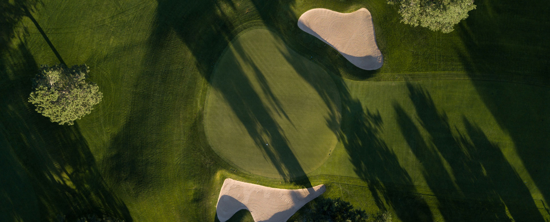 golf2.jpg