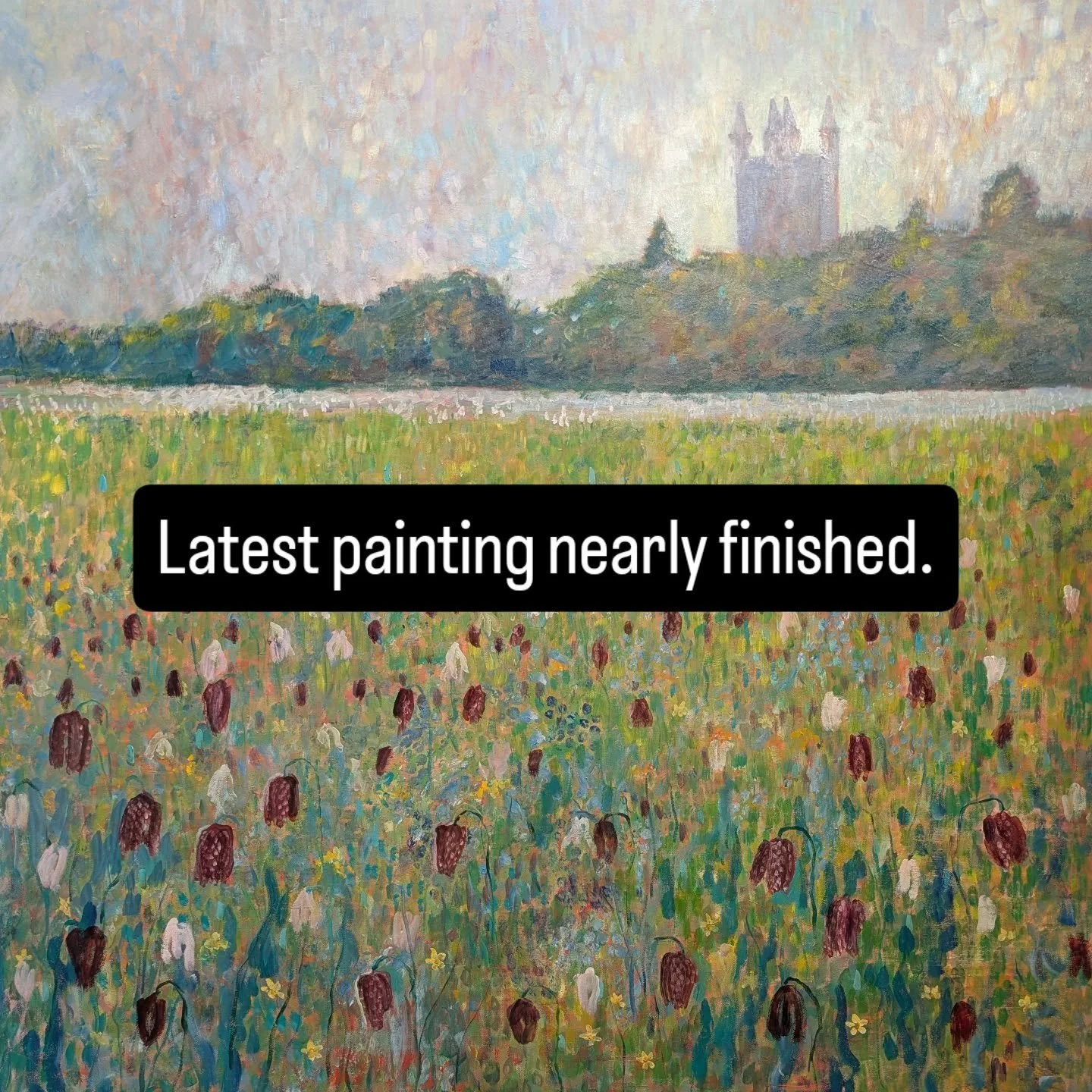 The water meadow in Cricklade.