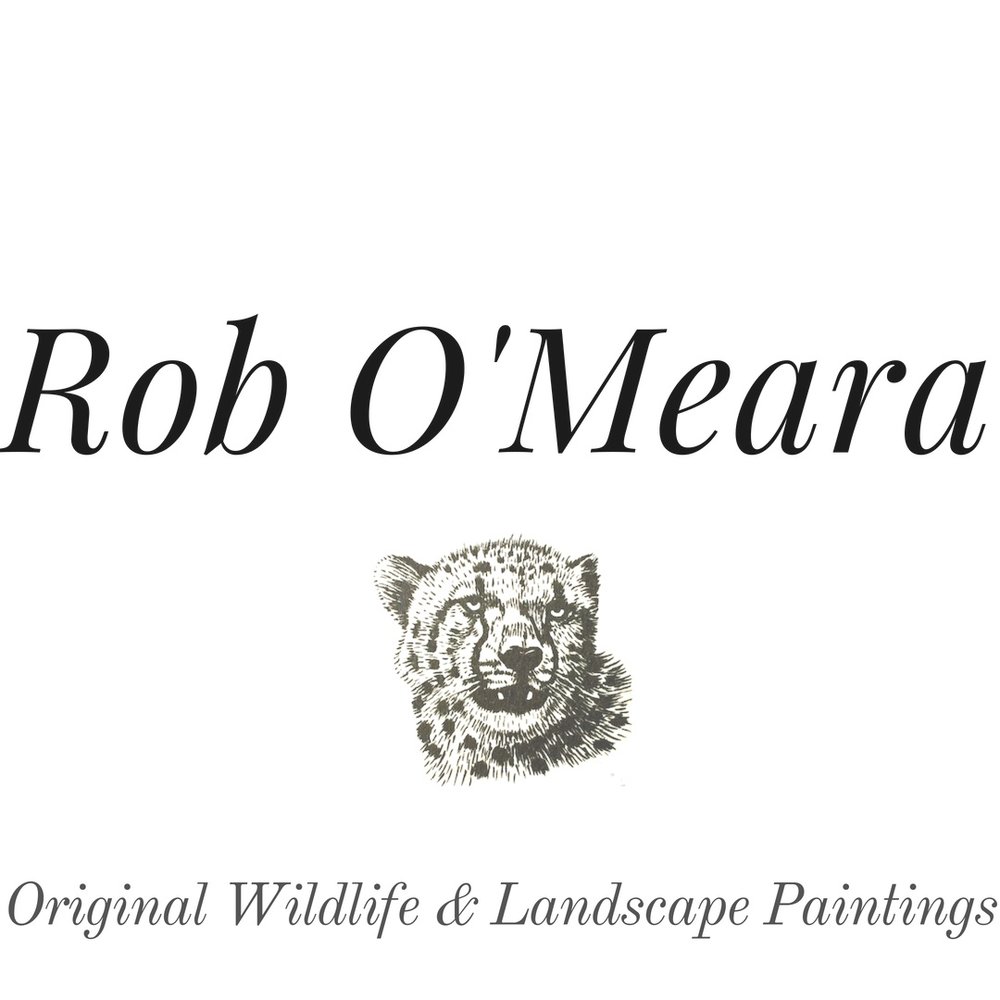 Rob O'Meara - Wildlife Artist