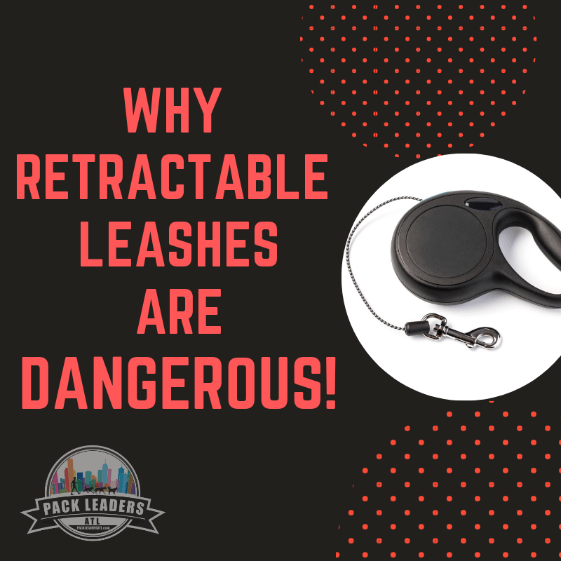 Why Retractable Leashes Are Dangerous