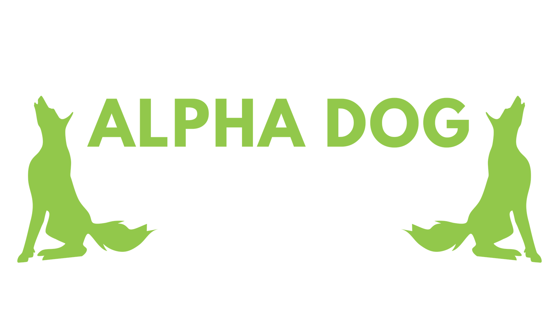 Copy of VIP-11.png