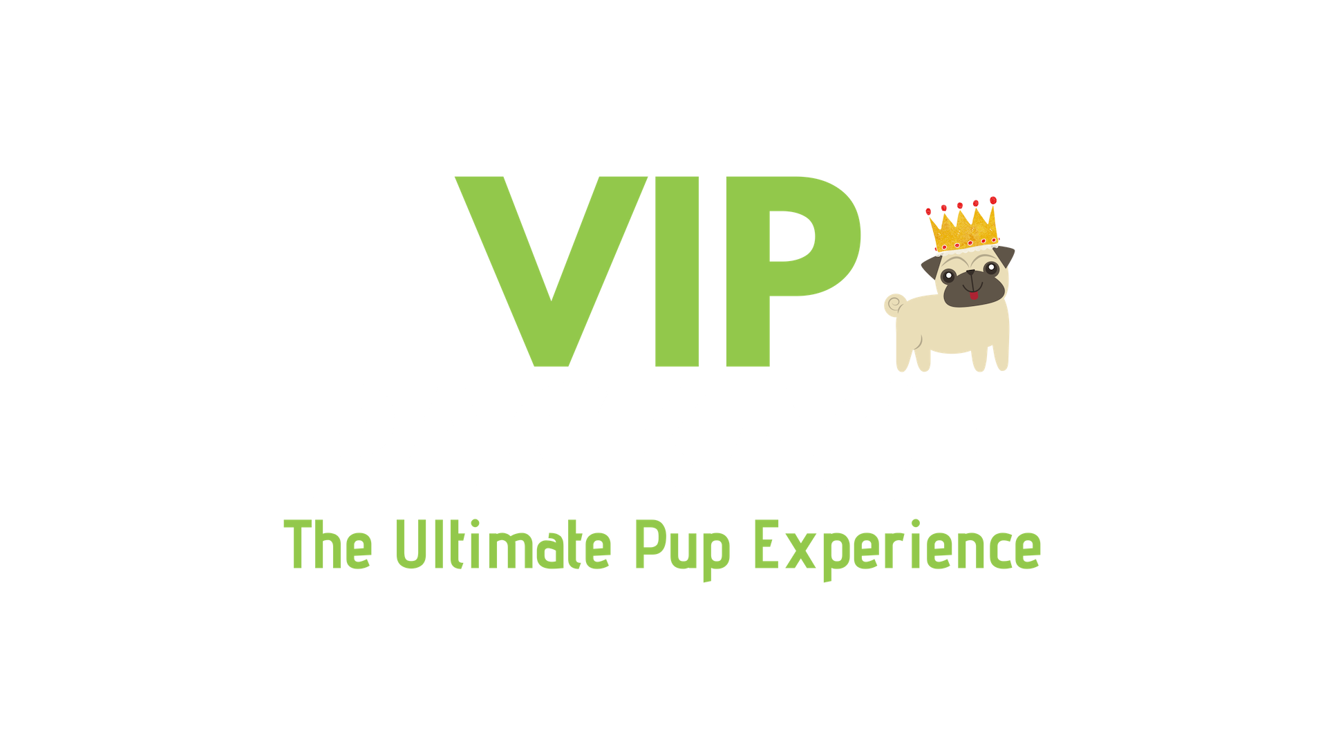 Copy of VIP-2.png