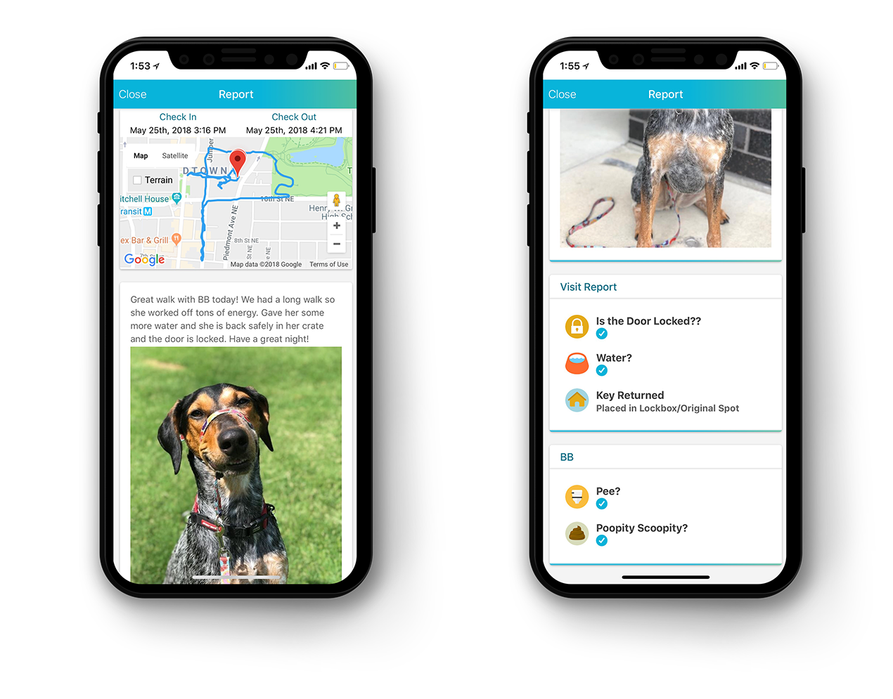 Phone Example Walk.png