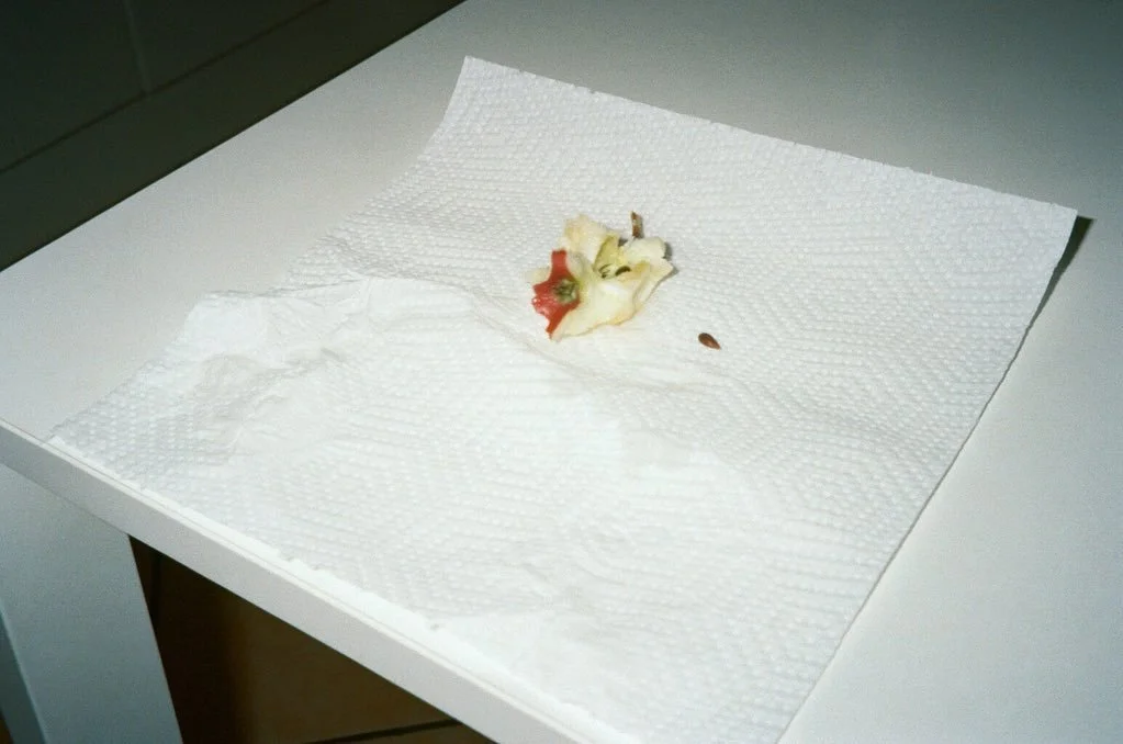 🍎🌽 no added sugar 🌶️🌽

#filmphotography #2024photography #filmphoto #nowherediary #phasemag #pellicolamag #phroommagazine #noicemag #odtakeovers #c41magazine #noaddedsugar #foodforthought #delphianclovermill