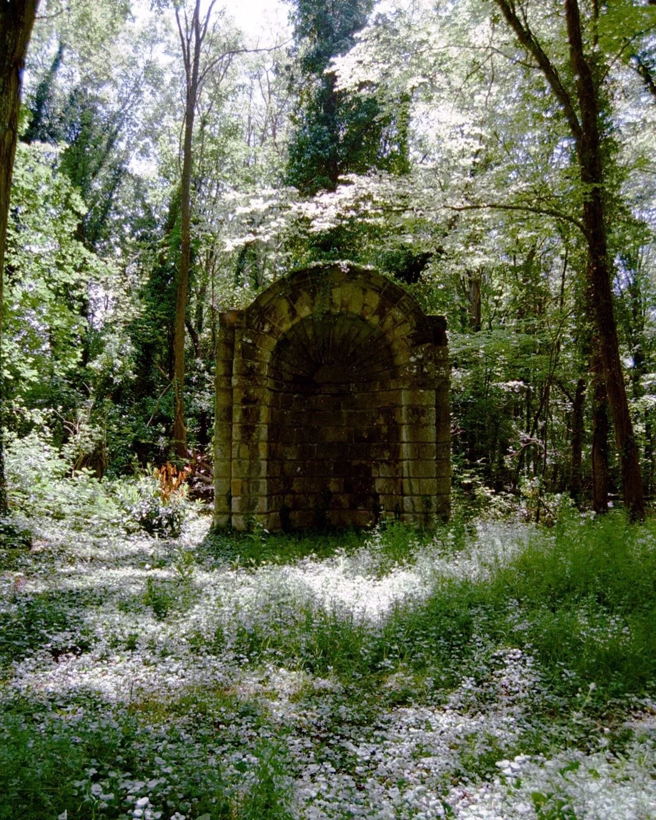 🍃🌿Silence and stillness 🌱🌿

#filmphotography #2024photography #filmphoto #nowherediary #phasemag #pellicolamag #phroommagazine #noicemag #odtakeovers #c41magazine #france #delphianclovermill @ifyouleavephoto #ifyouleave