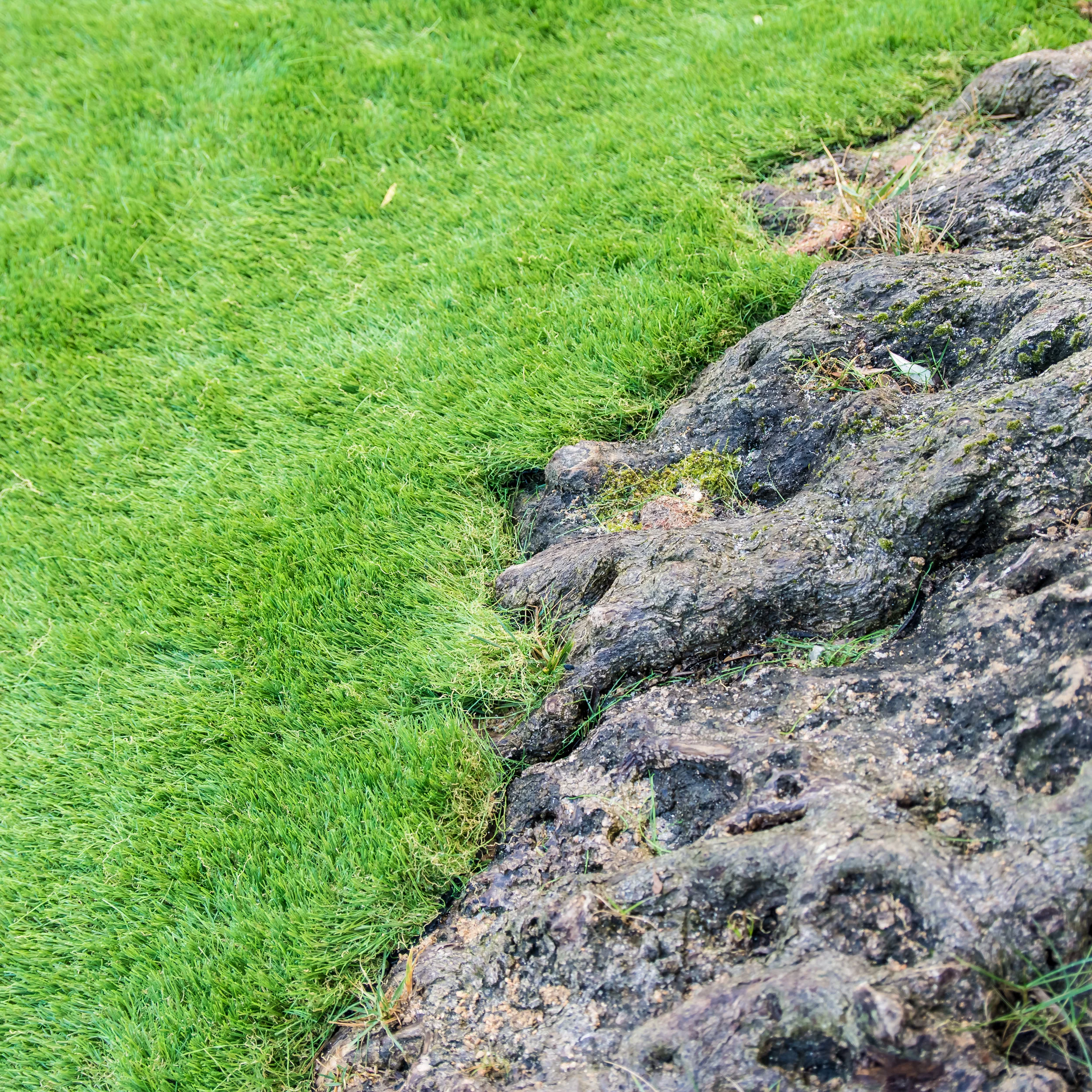 DSC_1872.jpg