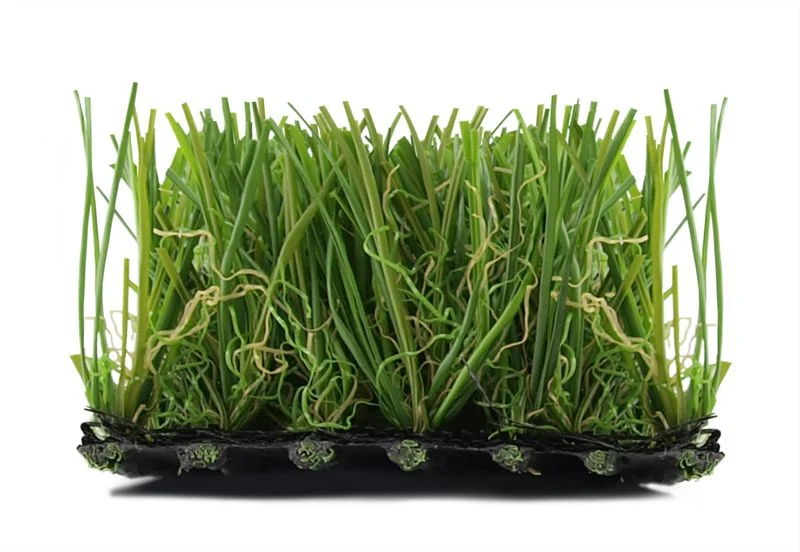 Basic Plus 20mm (Economy)