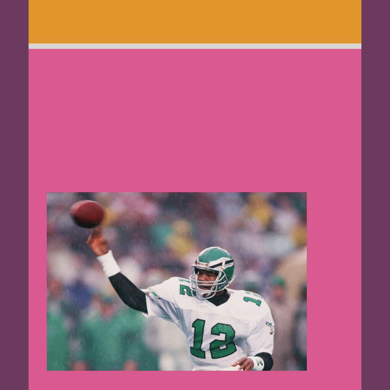Randall Cunningham Punts