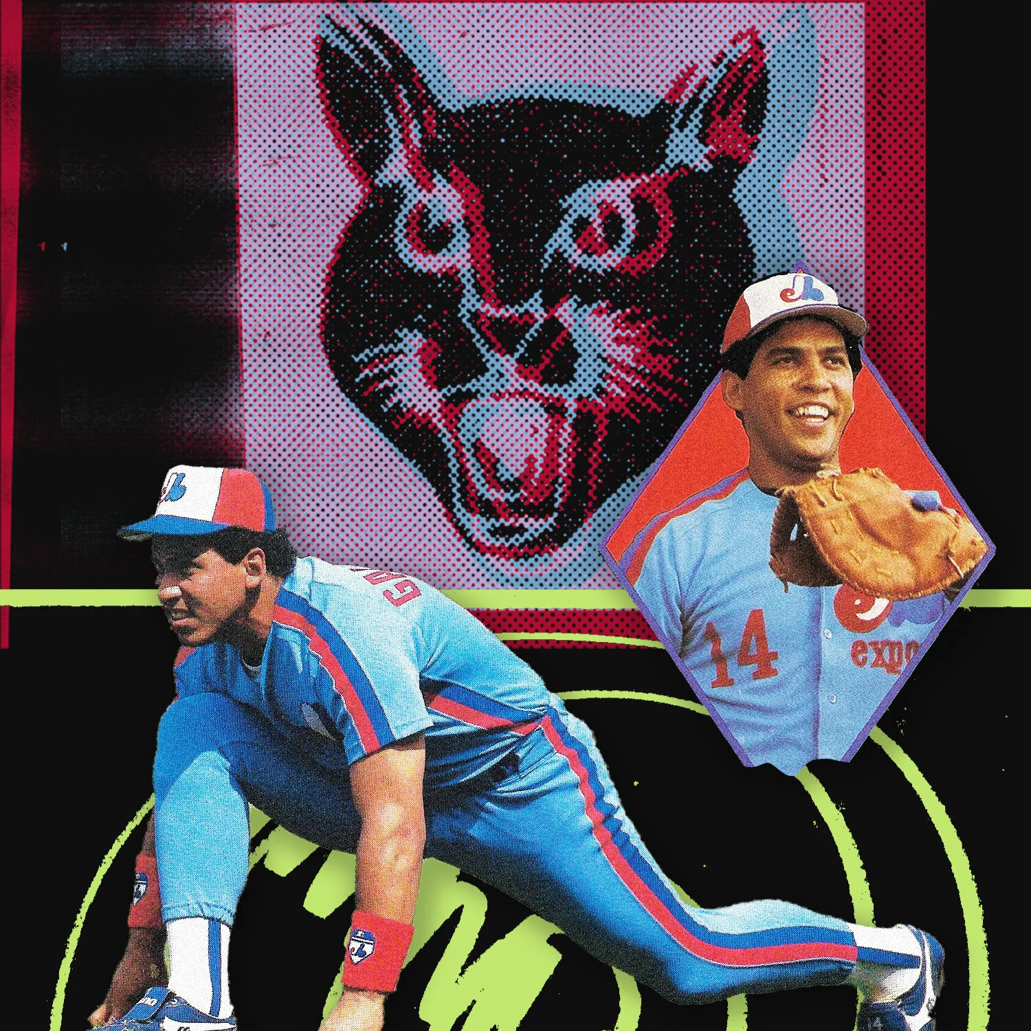 Happy Birthday Big Cat!