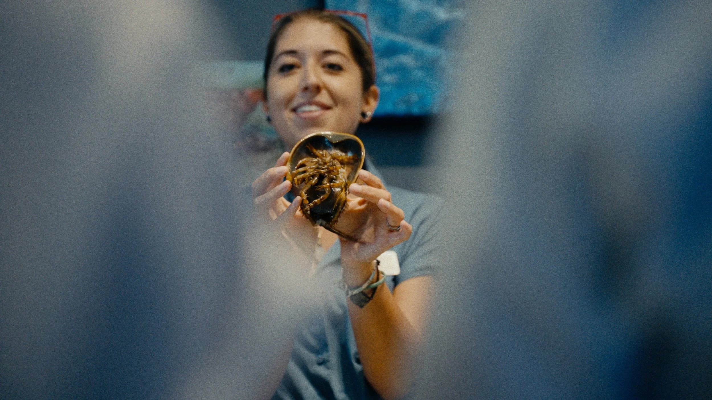 A smiling woman with glasses on her head is holding a large seashell with a spider inside it.