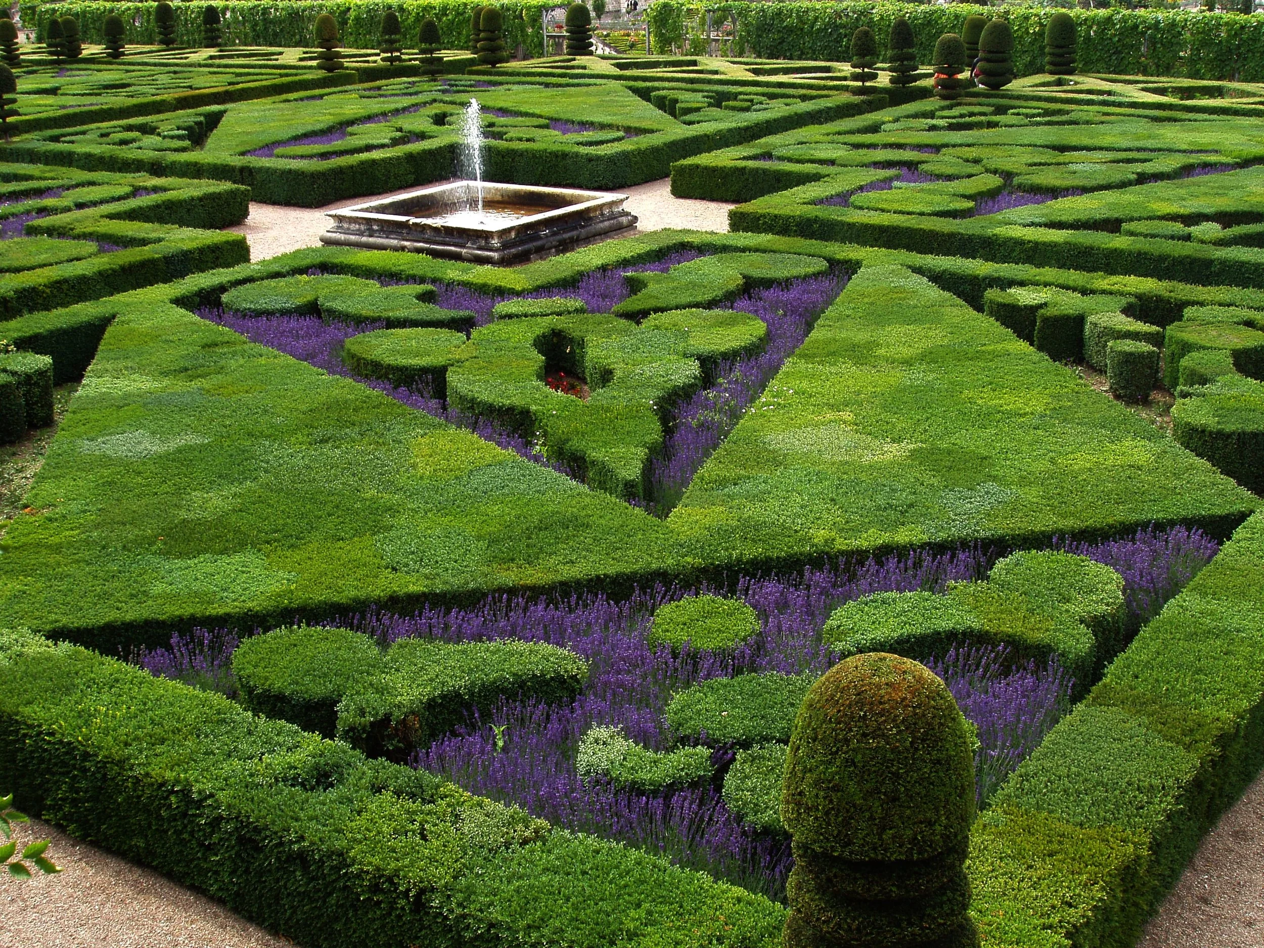 French_Formal_Garden_in_Loire_Valley-2.jpg