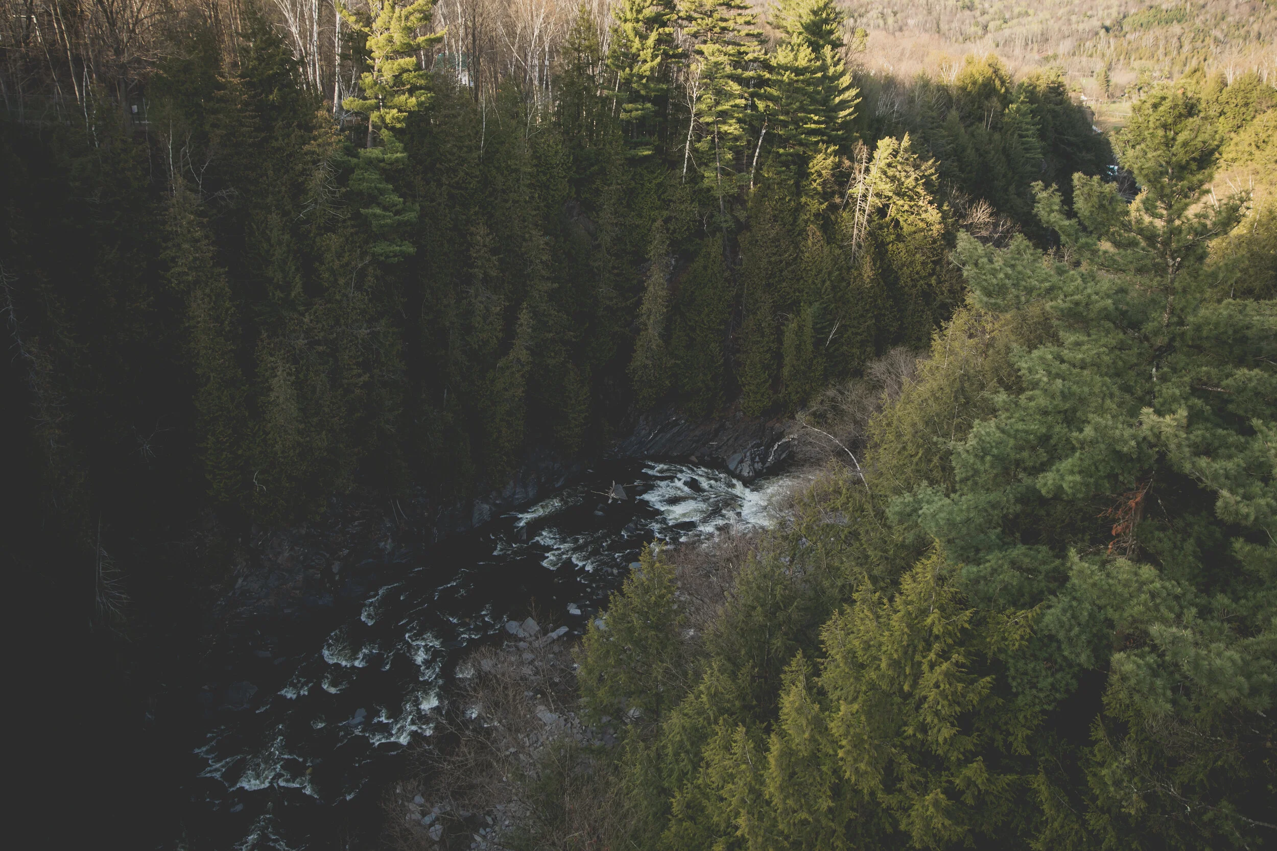 0Z3A7792-1.jpg