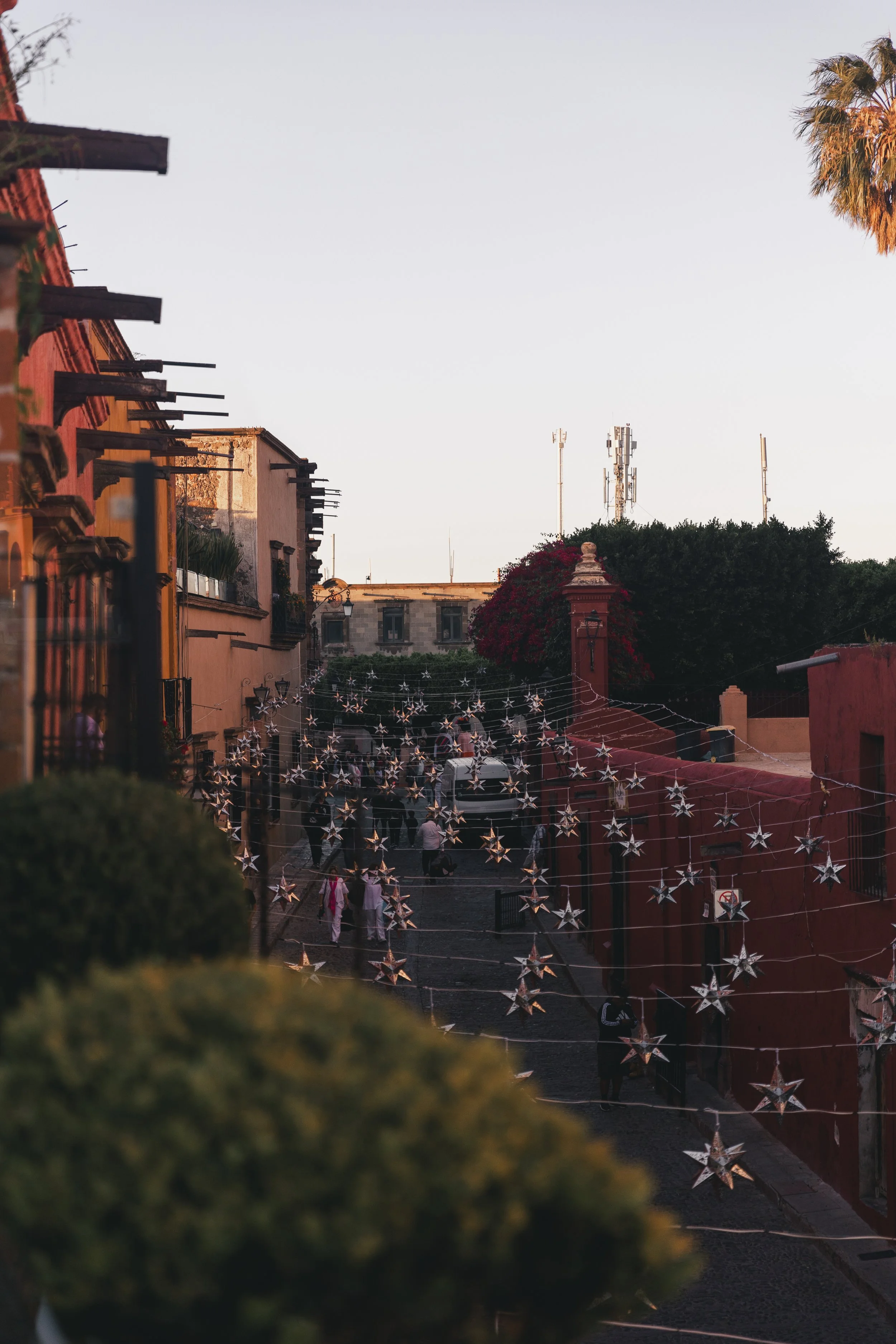 360A9750-1.jpg