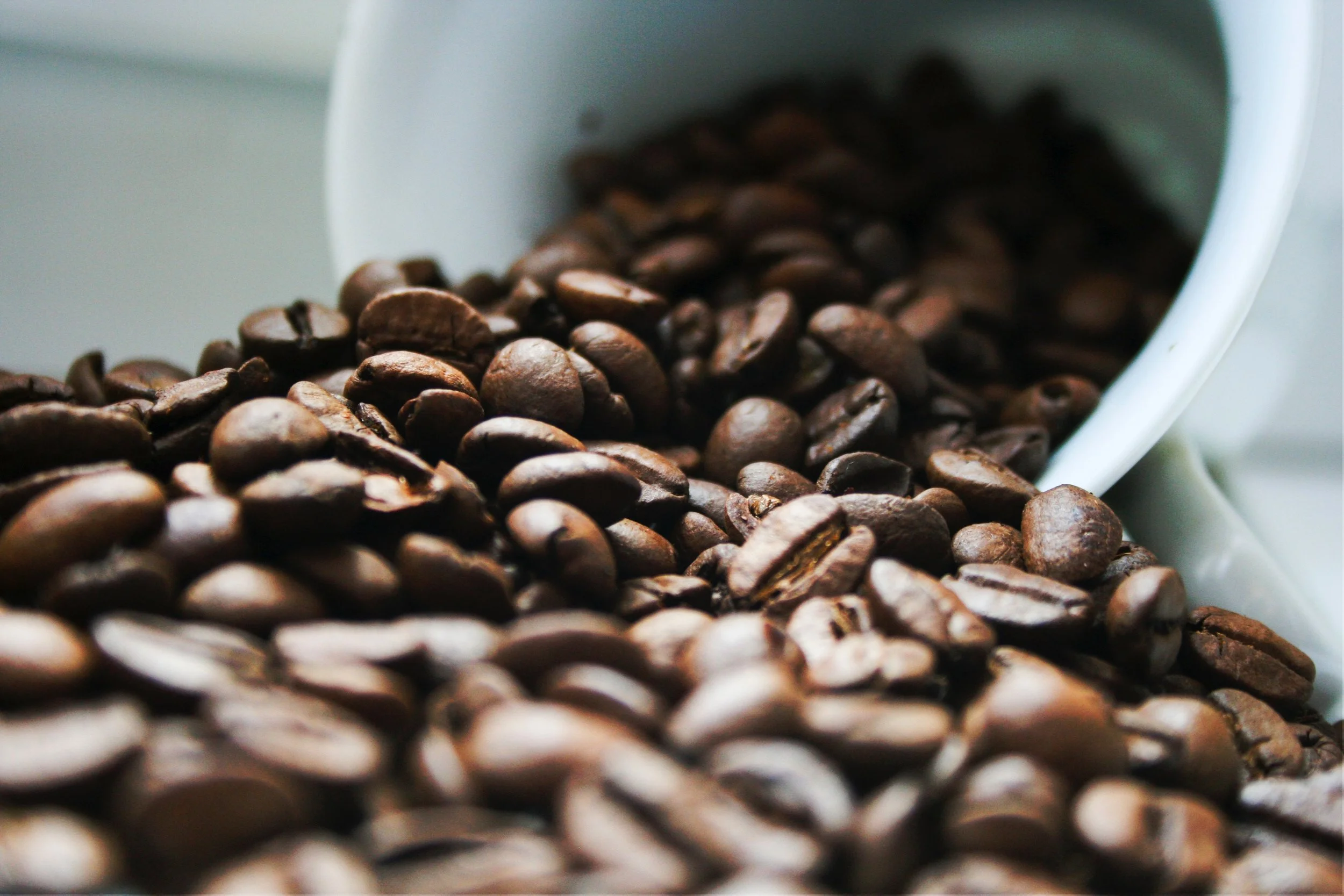 jo-lcoffee-unsplash.jpg