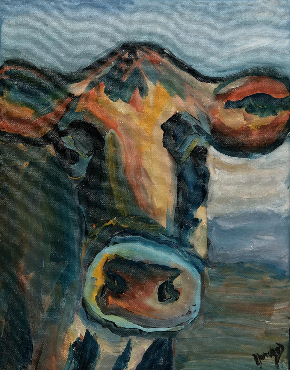 Driftless Cow