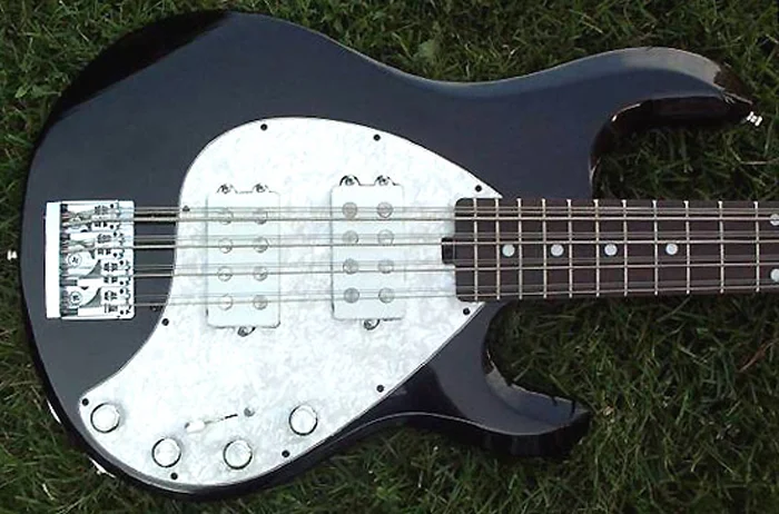 OLP MM3 5-string bass, converted to a 12-string bass by Adam Fogo from Ottawa, Ontario, Canada