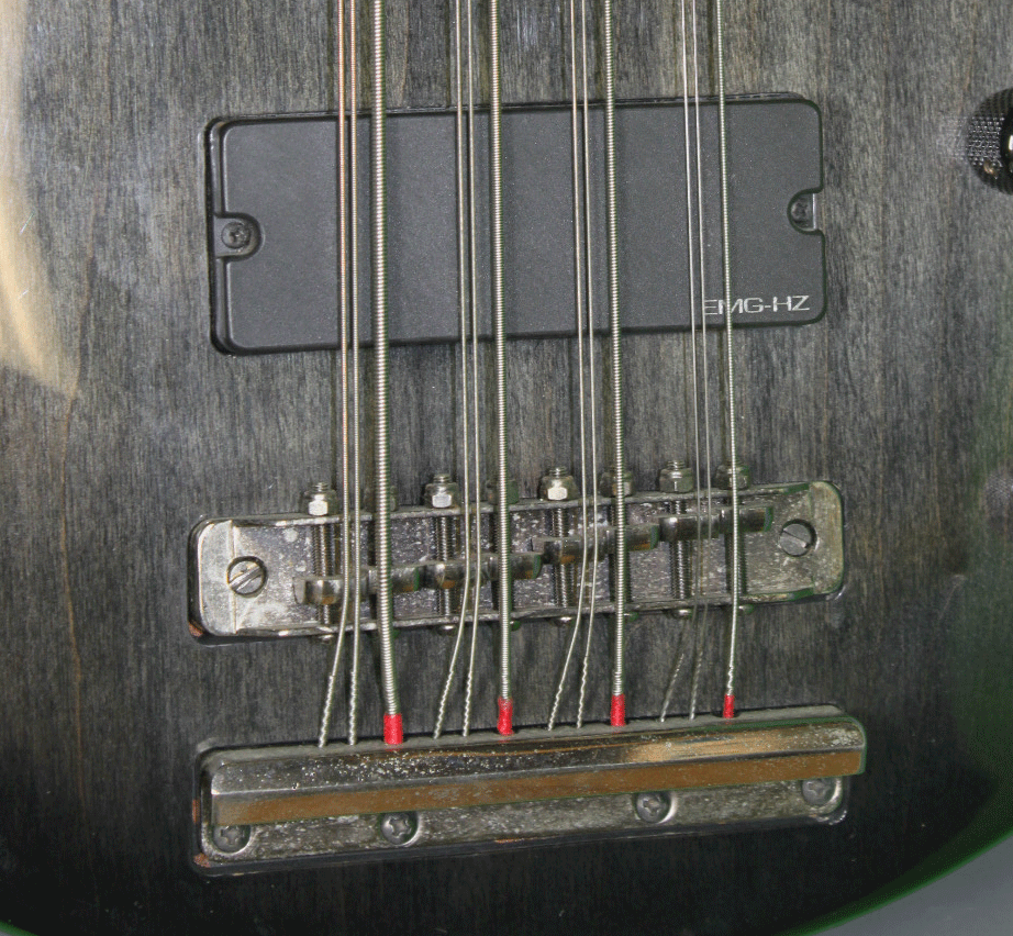 While the bridge and tailpiece on most Rhapsody’s are black, chrome hardware has been seen.