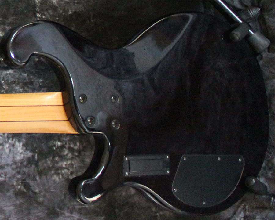 The 9-volt battery compartment is separate from the electronics cavity.