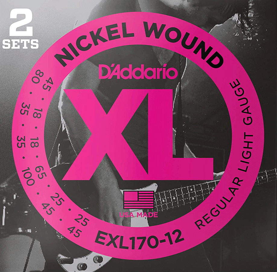 d'addario 12 string