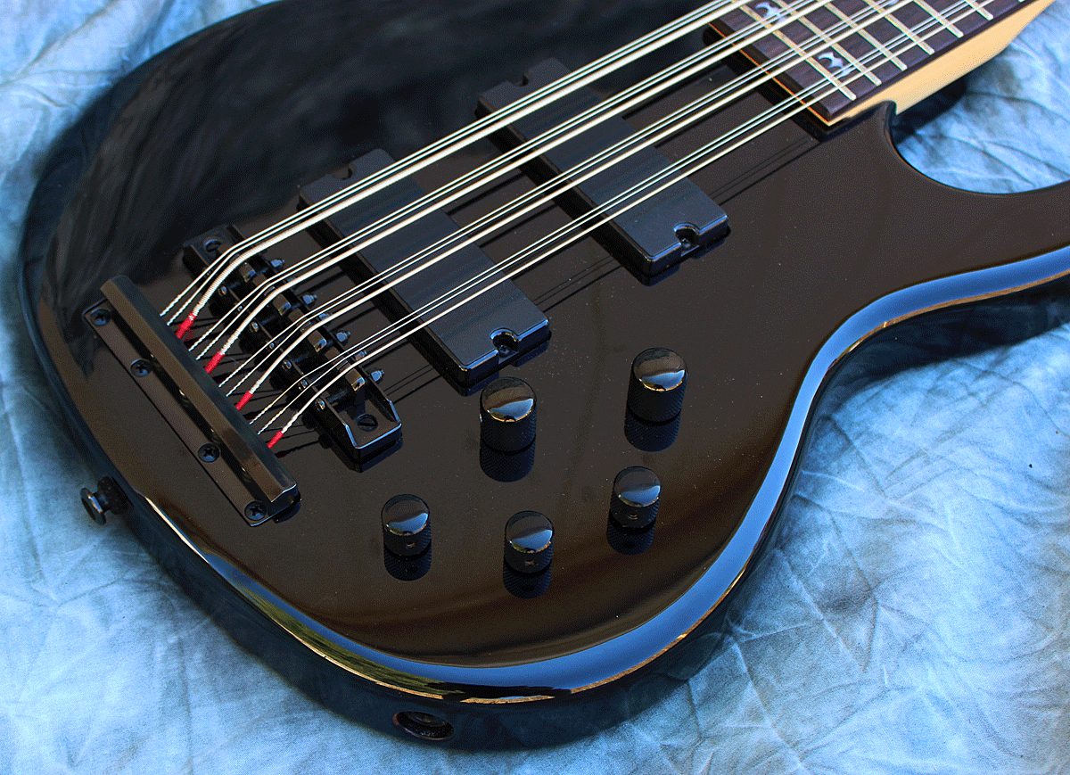  Welcome to the Encyclopedia of the   12-String Bass!  