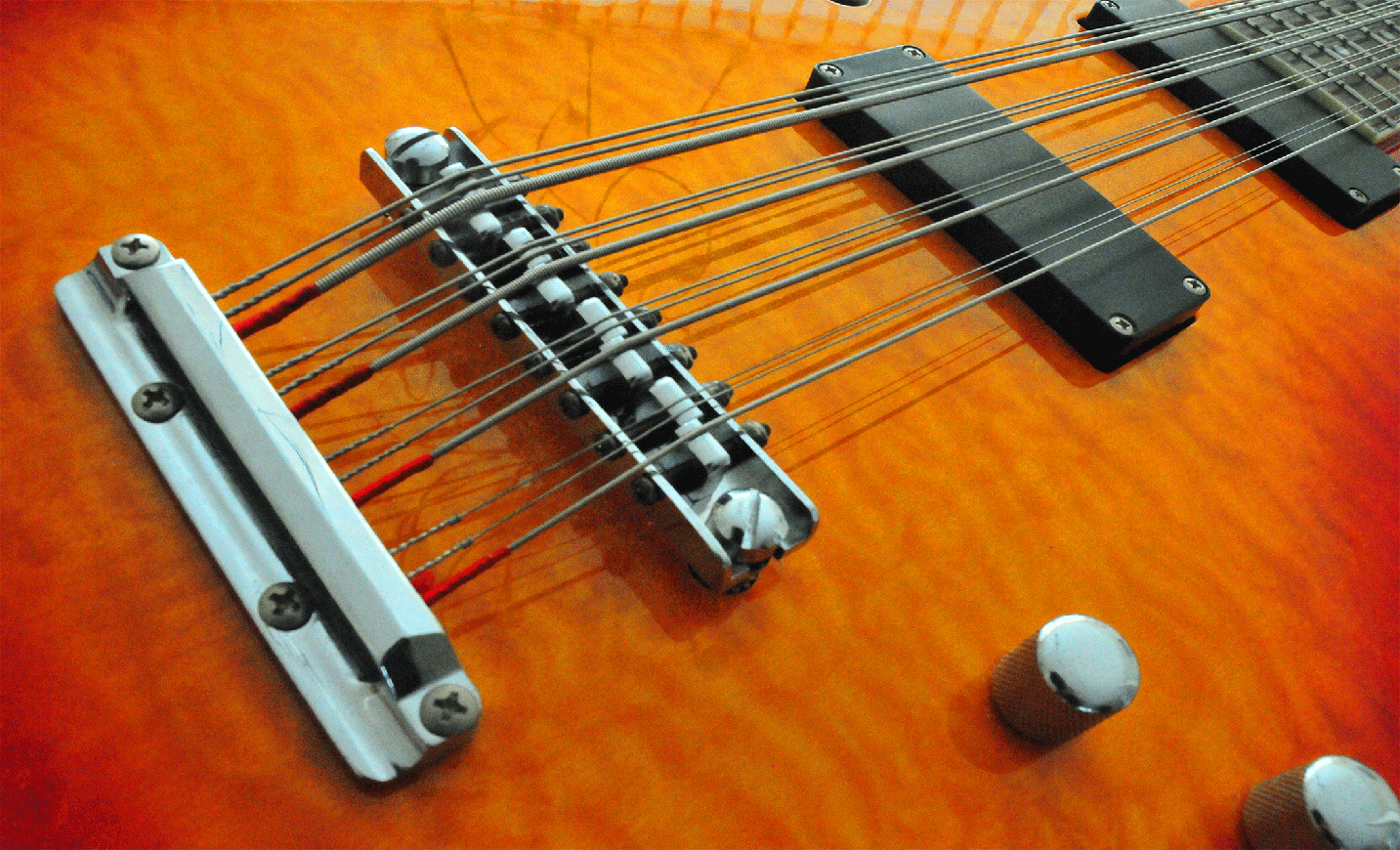  Your comprehensive resource for everything related  to the ultimate bass guitar, the 12-string! 