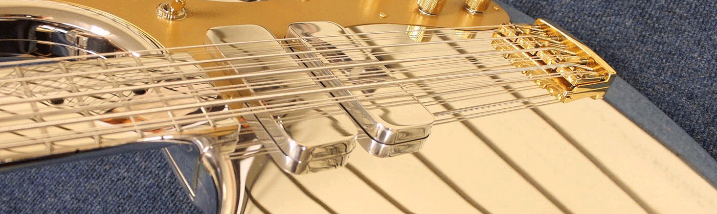 Tom Petersson - Japan 1996 — 12-String Bass Encyclopedia