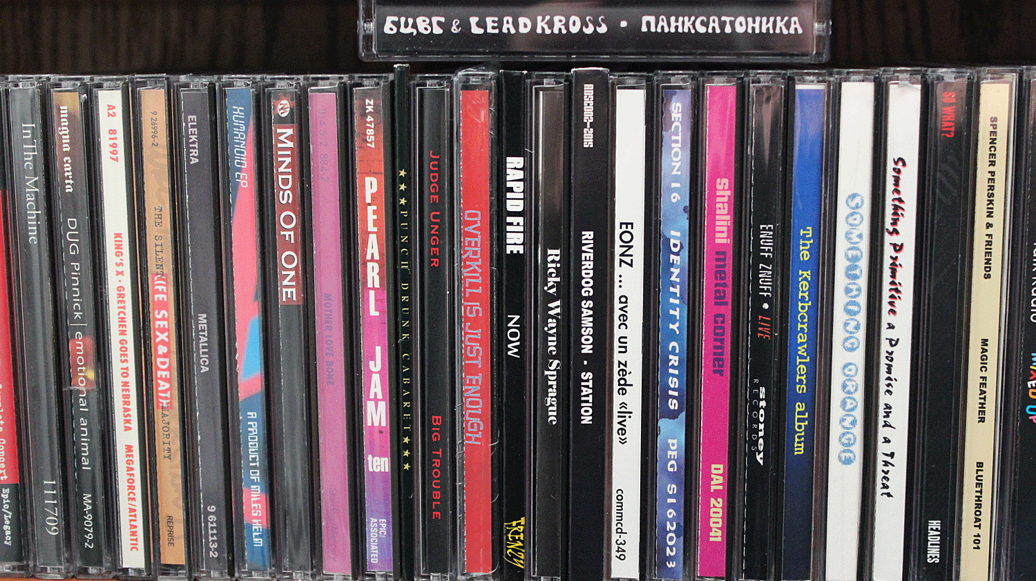 Discography.gif