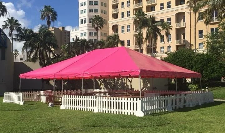 Pink+Top.jpg