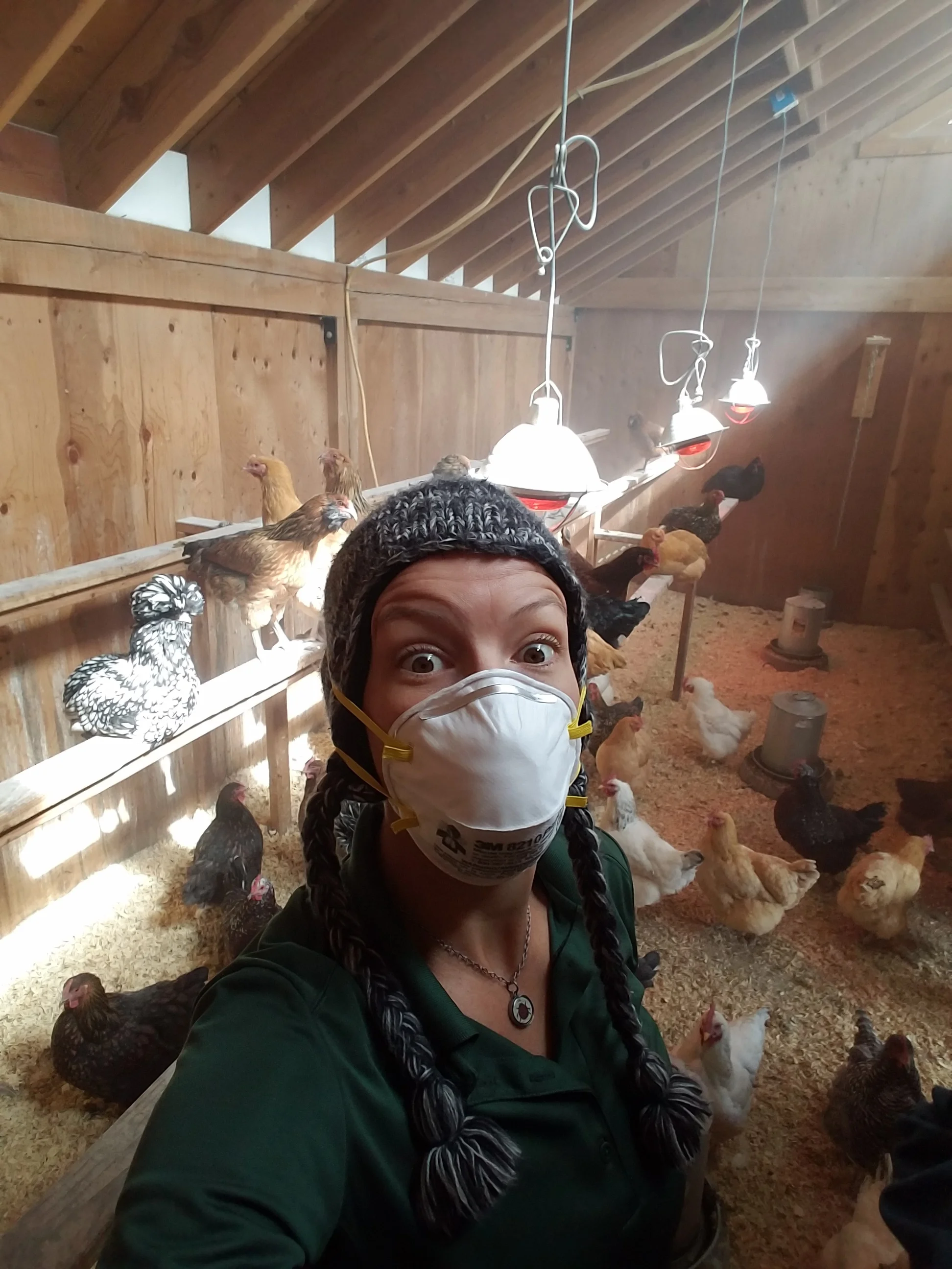 Cleaning out a chicken coop in Colorado