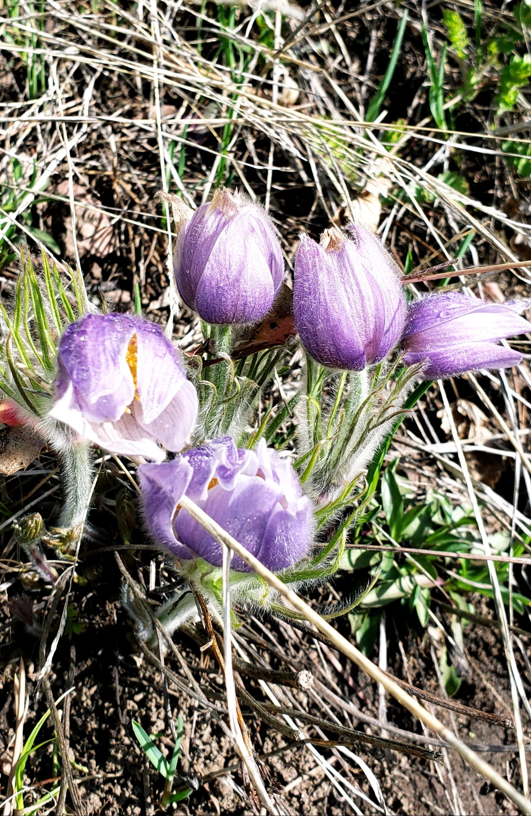 20190429_172440.jpg