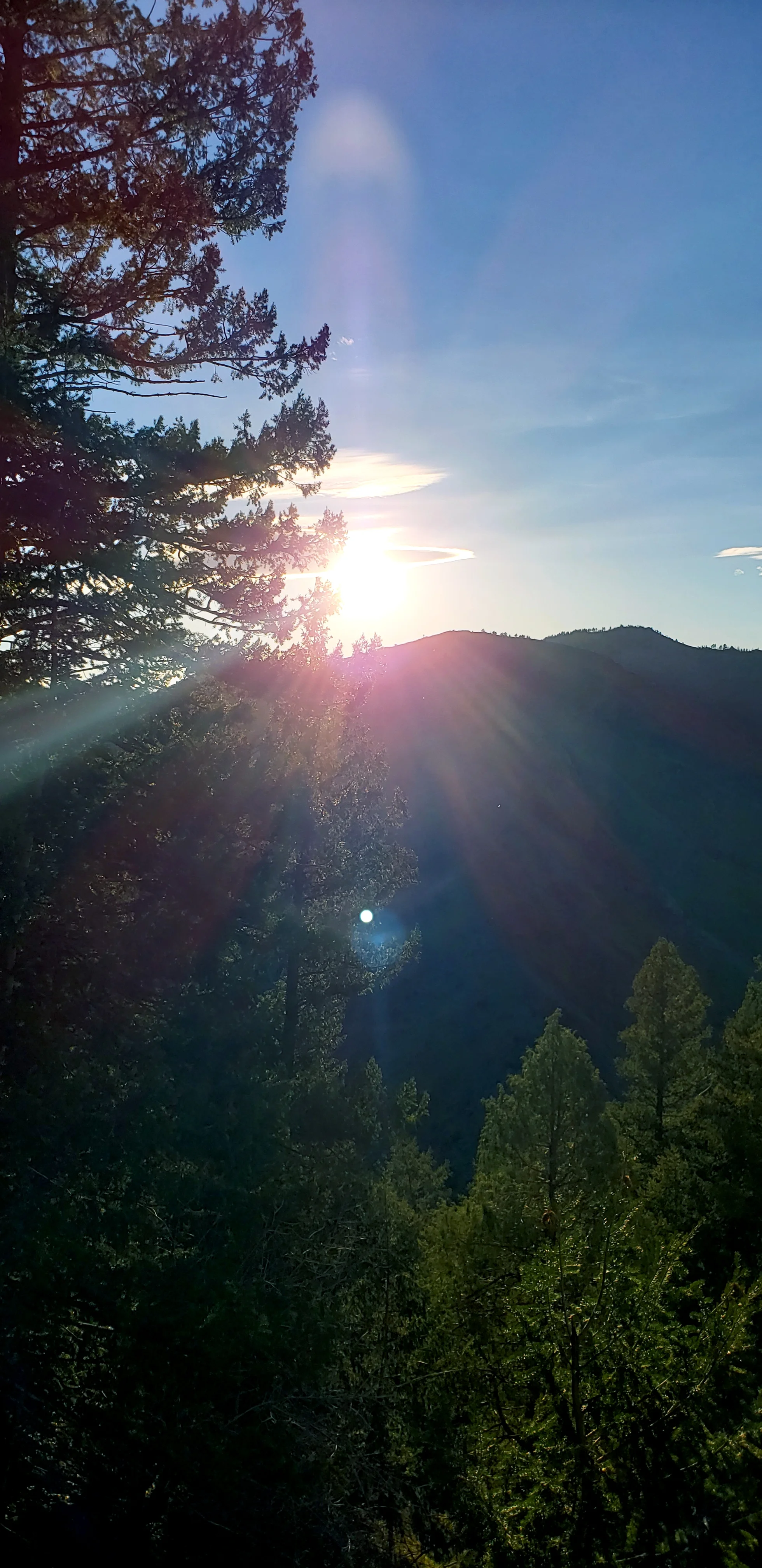 20190429_172729.jpg