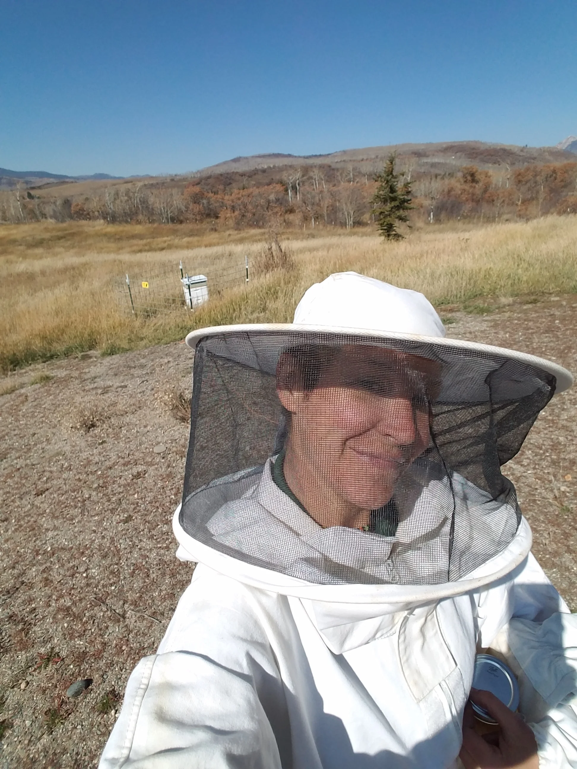 My honeybee refuge