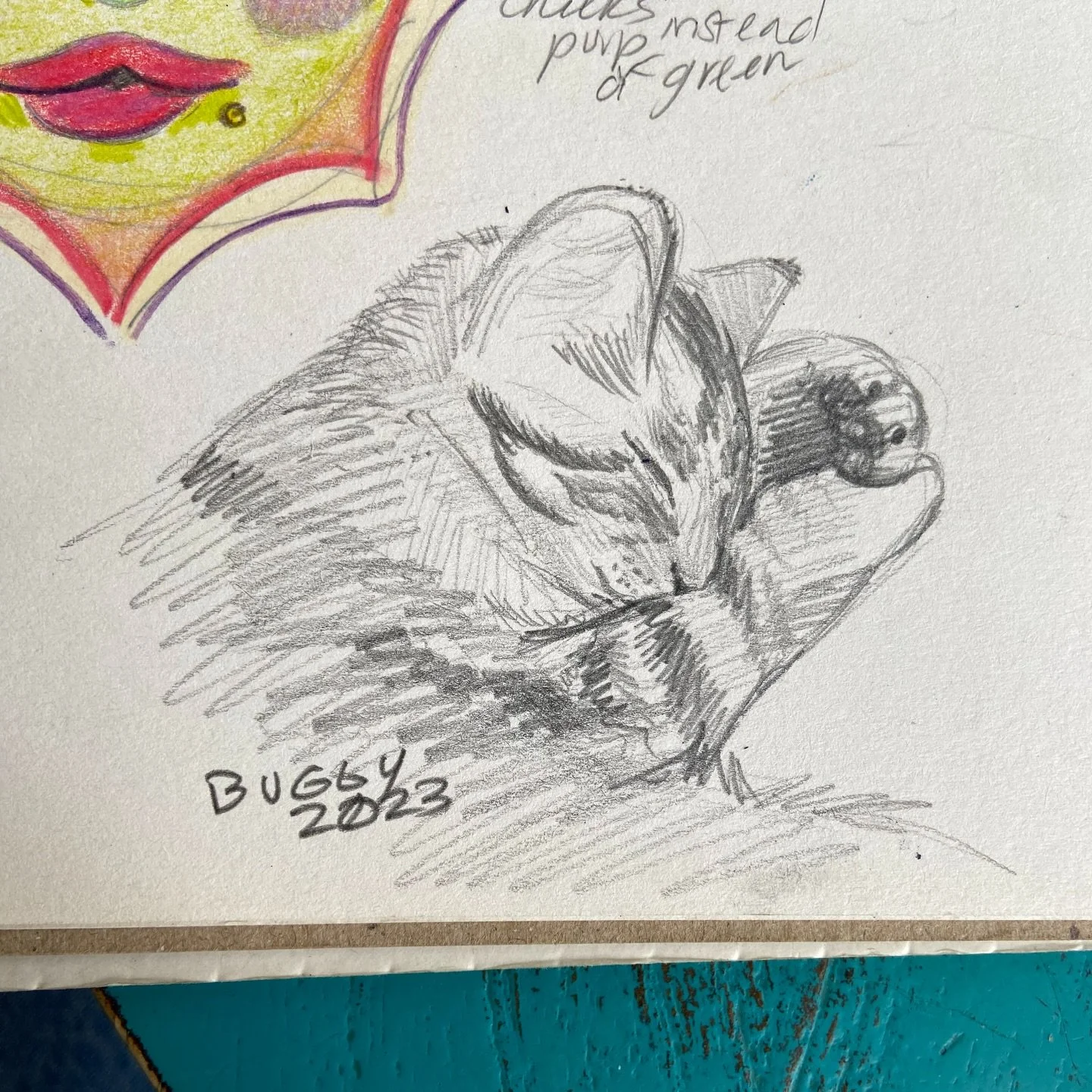 Sketch of my Buggy from the fall, her as a little kitty in 2023 #sketch 

Time flies 🥹🪰❤️