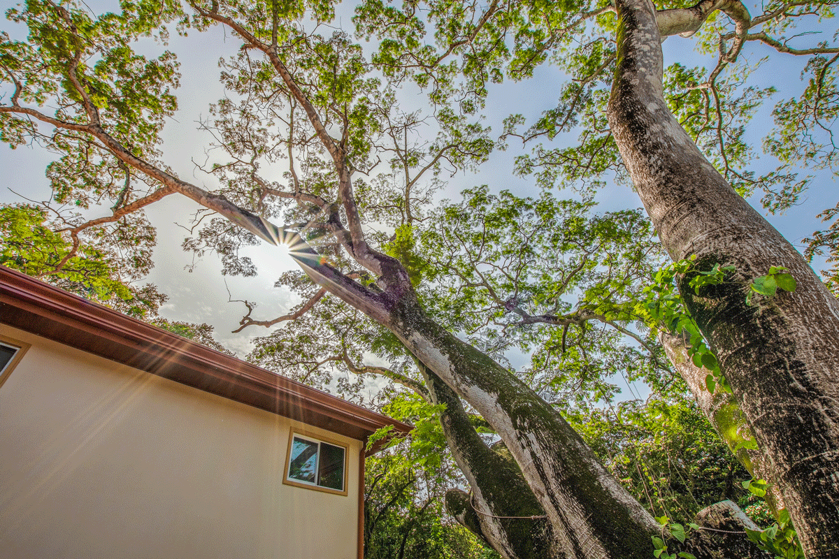 casa-dos-mares-nosara-costa-rica.gif
