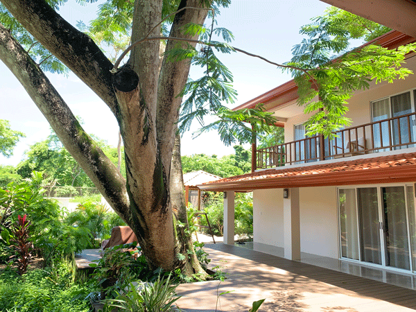 garden-tree-vibes-1.gif