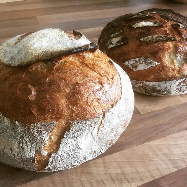 Kleine vingeroefening: hetzelfde tarwebrood, links met gist, rechts met desem. Iets meer ontwikkeling bij gist, ook al gaaf ik de desem 2 uren meer rijstijd en 2&rsquo;C meer deegtemperatuur #indebanvanbrood #meesterleerling #hettraagstebrood #sourdo